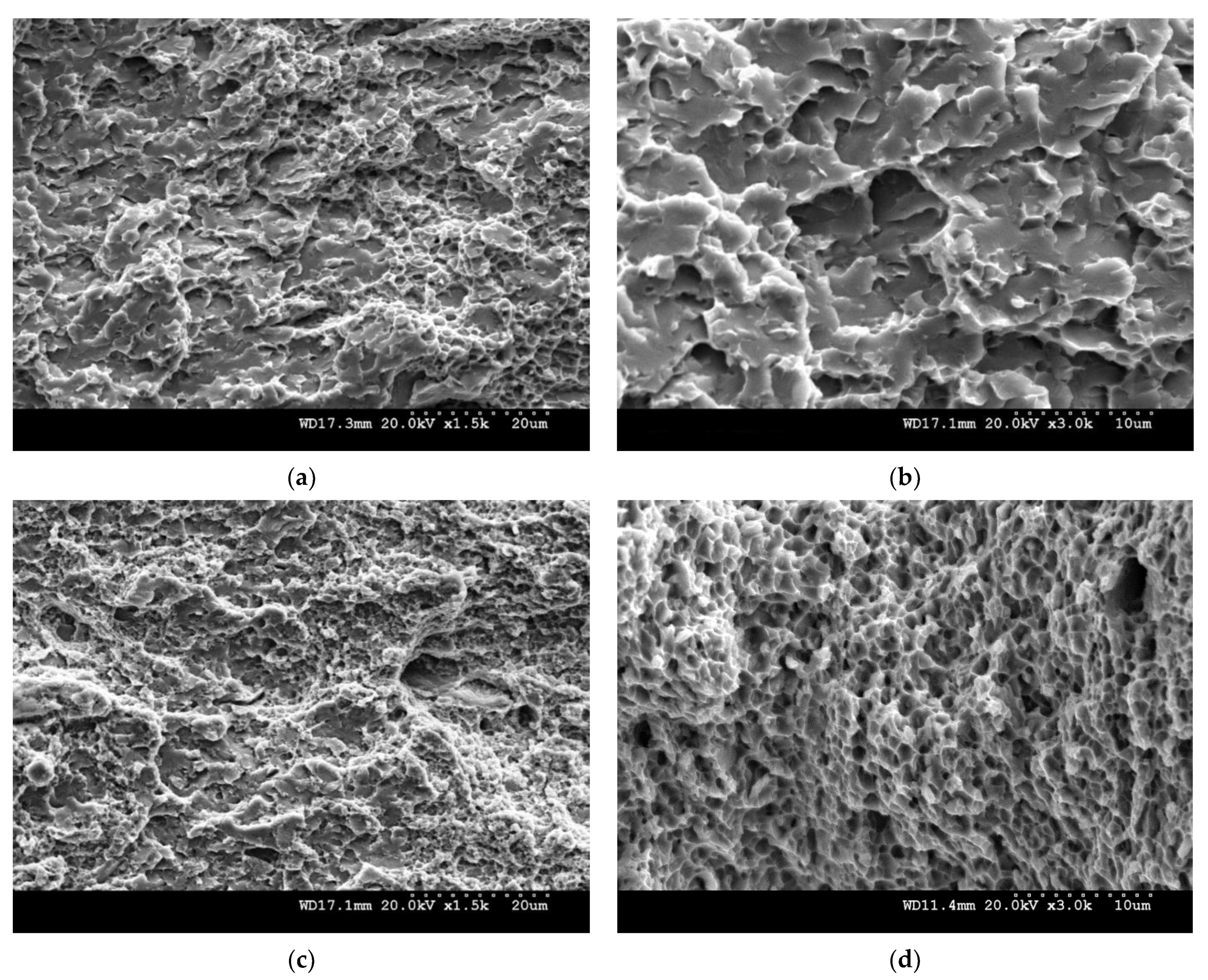 Metals 11 00328 g008 Metals 11 00328 g008