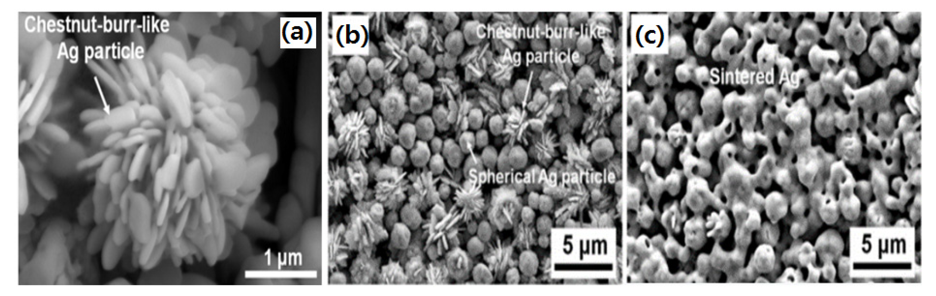 Metals 11 00329 g011 Metals 11 00329 g011