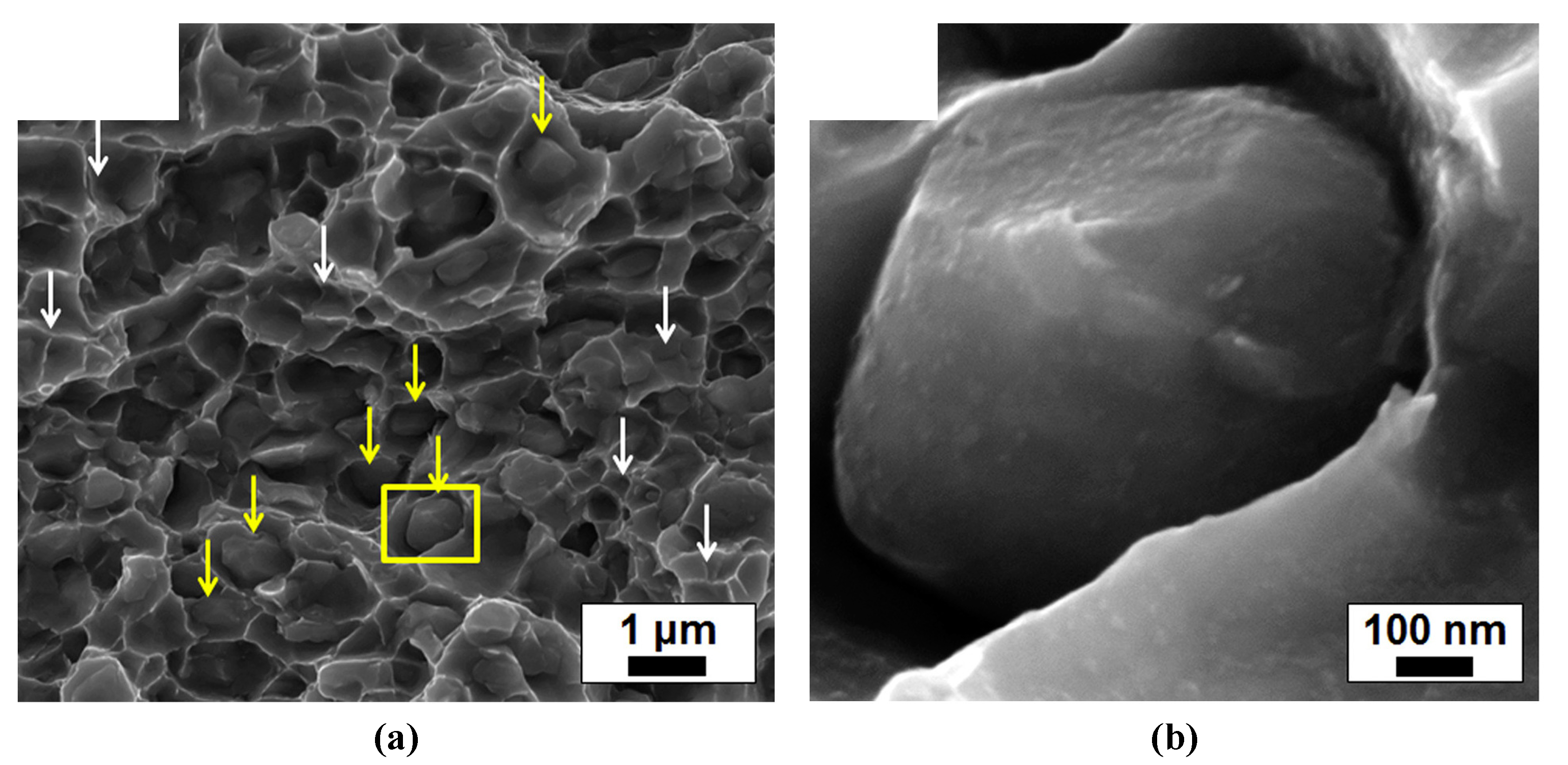 Metals 11 00358 g011