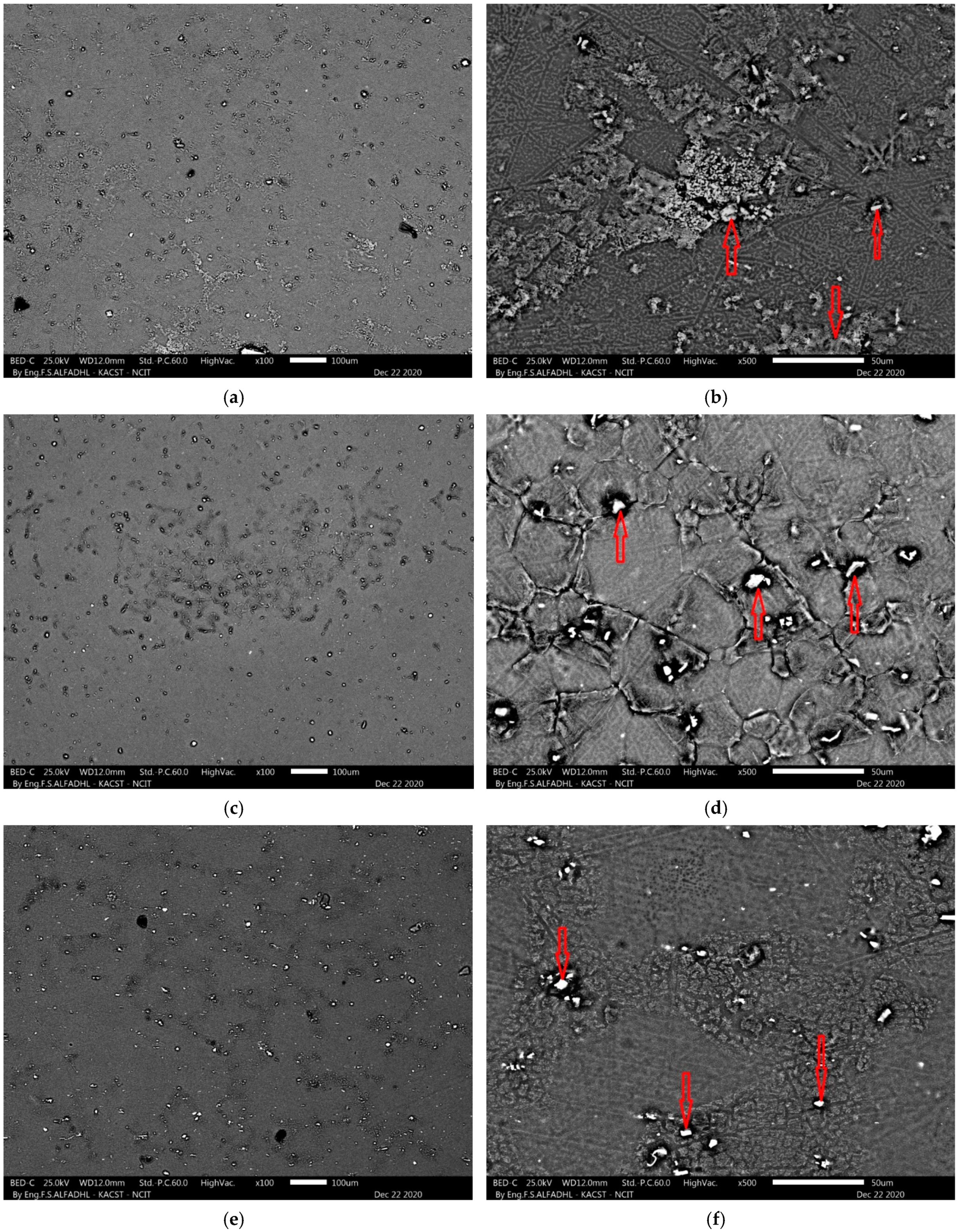 Metals 11 00363 g003 Metals 11 00363 g003