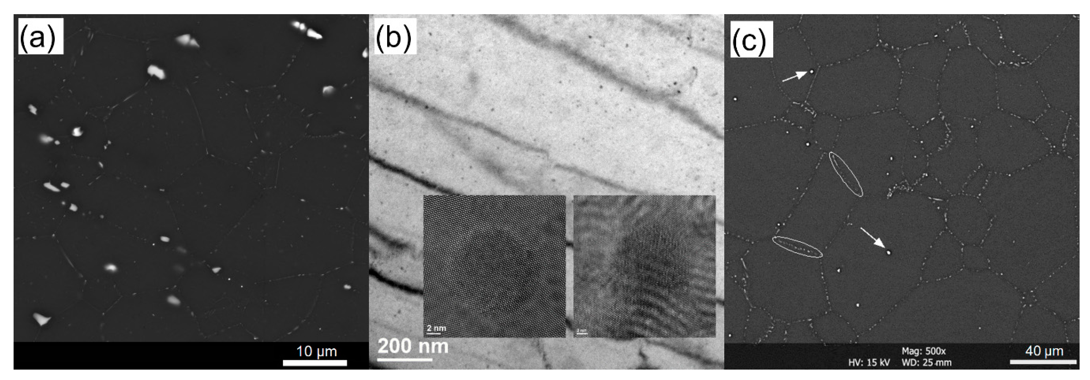 Metals 11 00377 g002 Metals 11 00377 g002