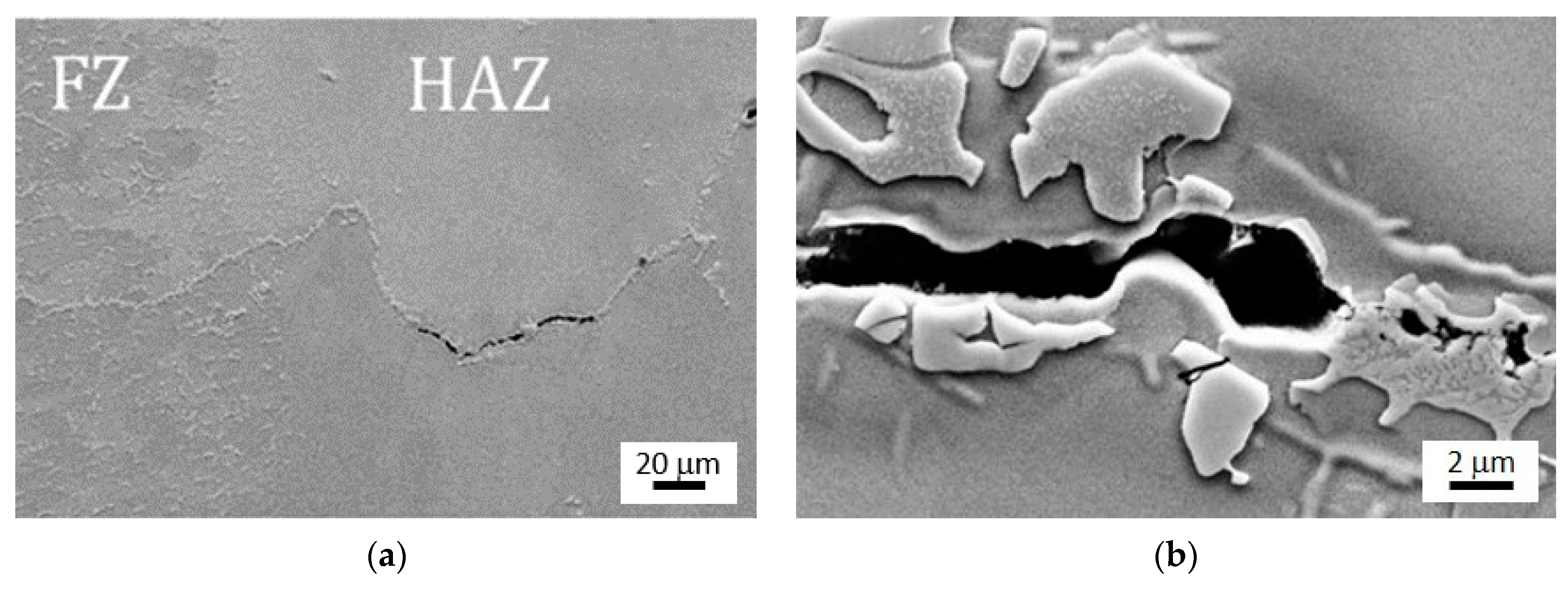 Metals 11 00402 g015 Metals 11 00402 g015