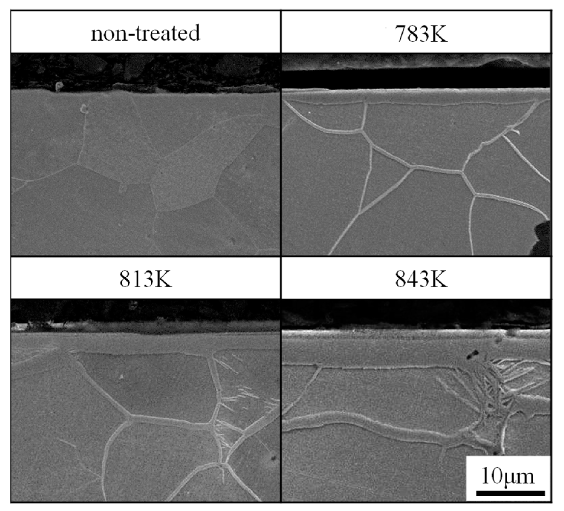Metals 11 00412 g003