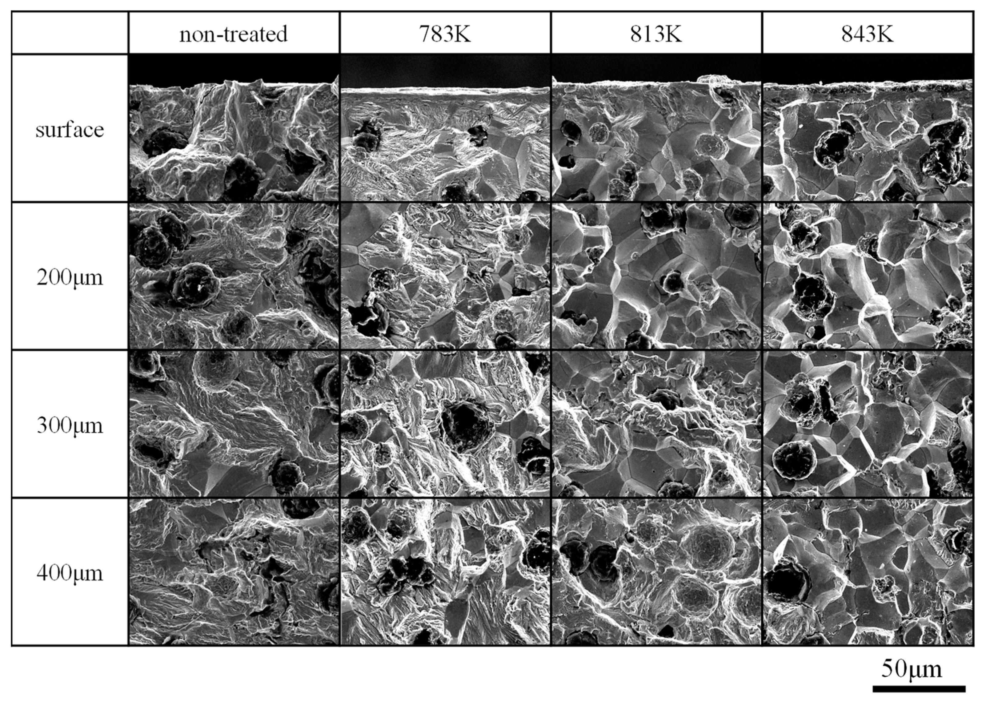 Metals 11 00412 g011