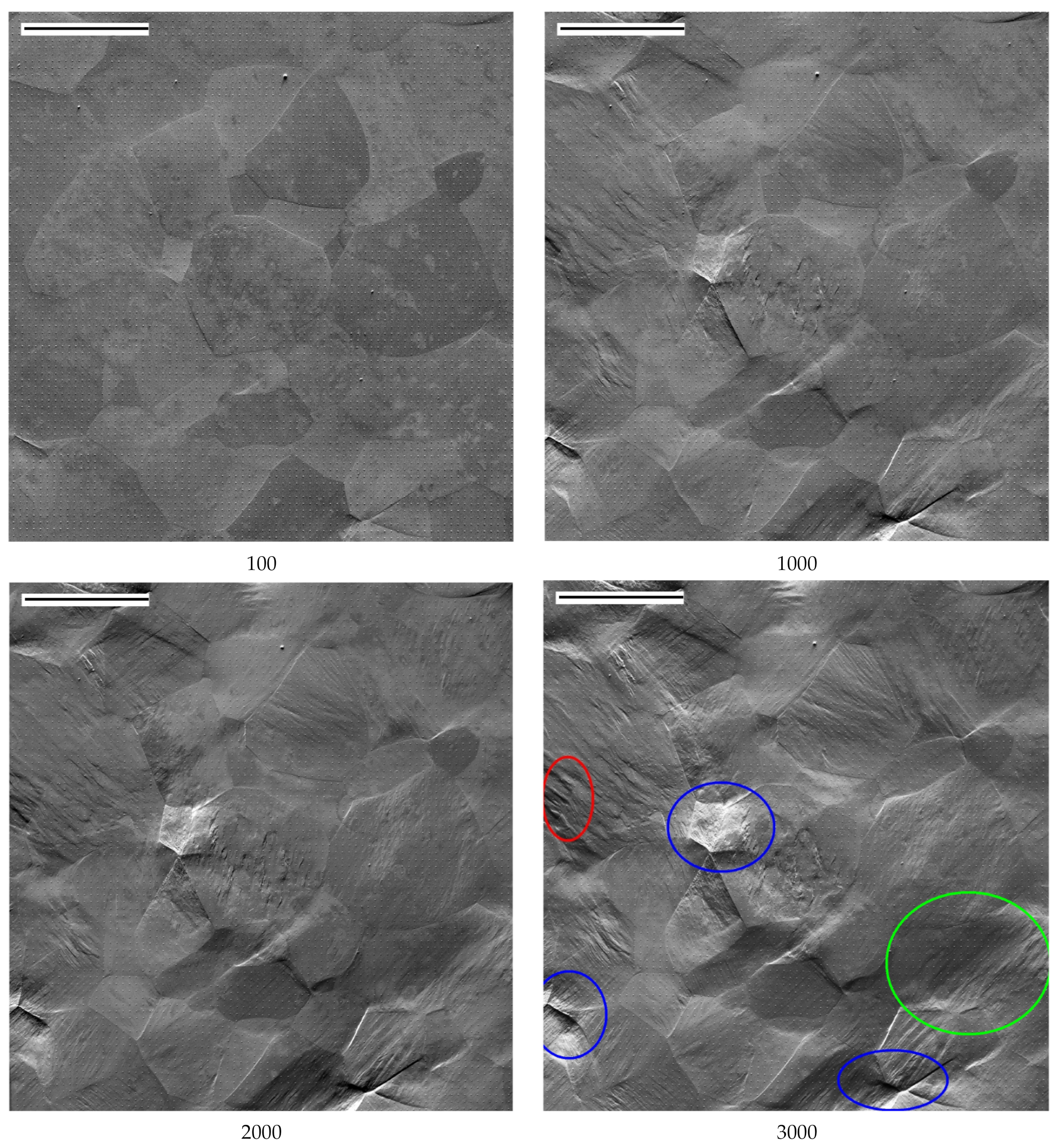 Metals 11 00416 g003