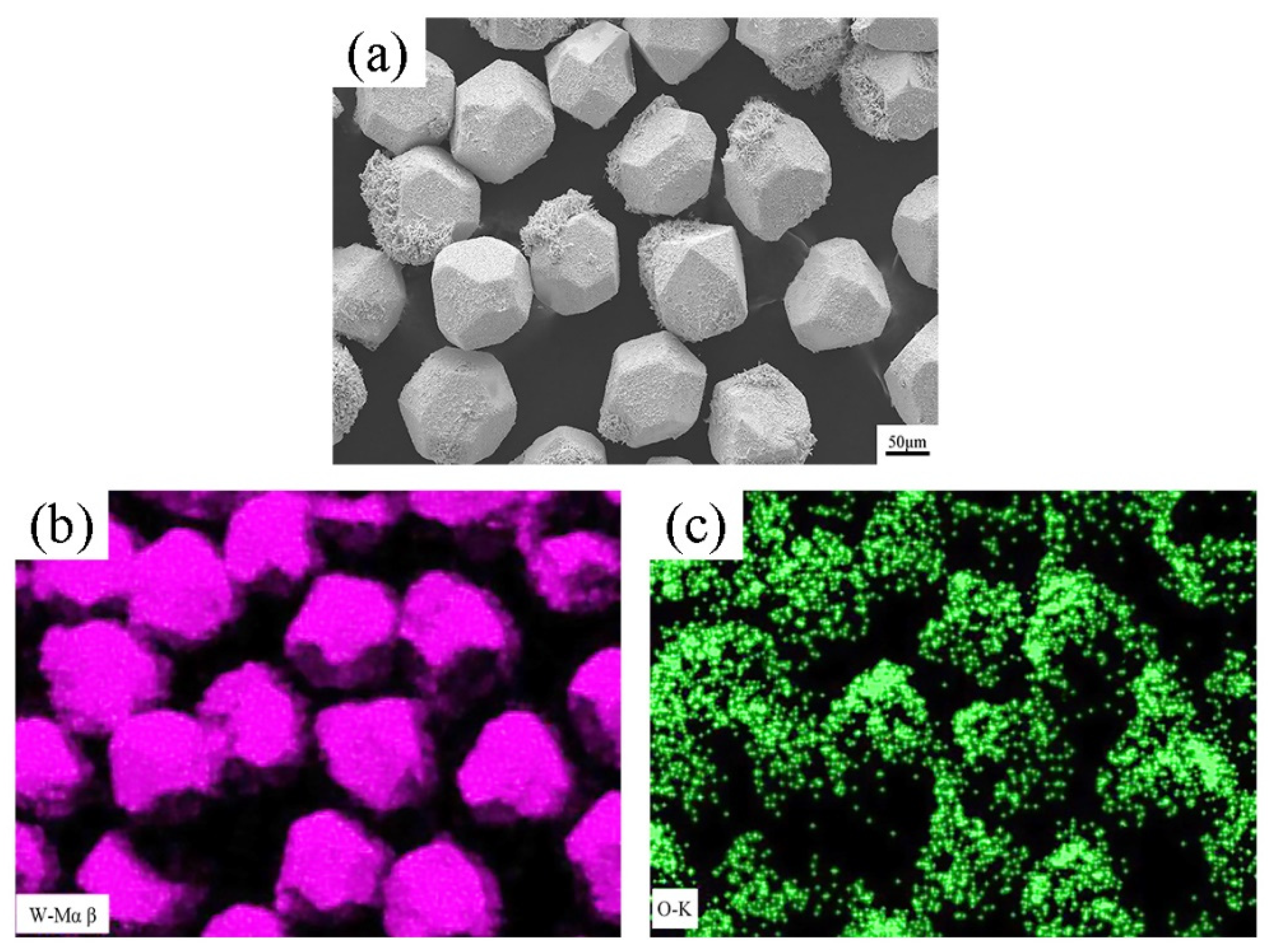 Metals 11 00437 g006