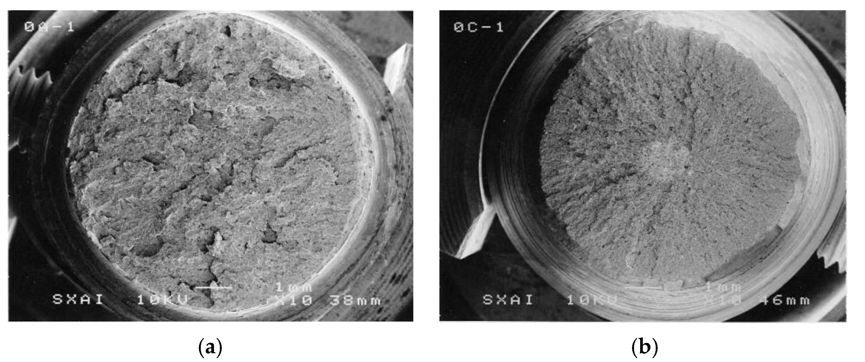 Metals 11 00451 g004