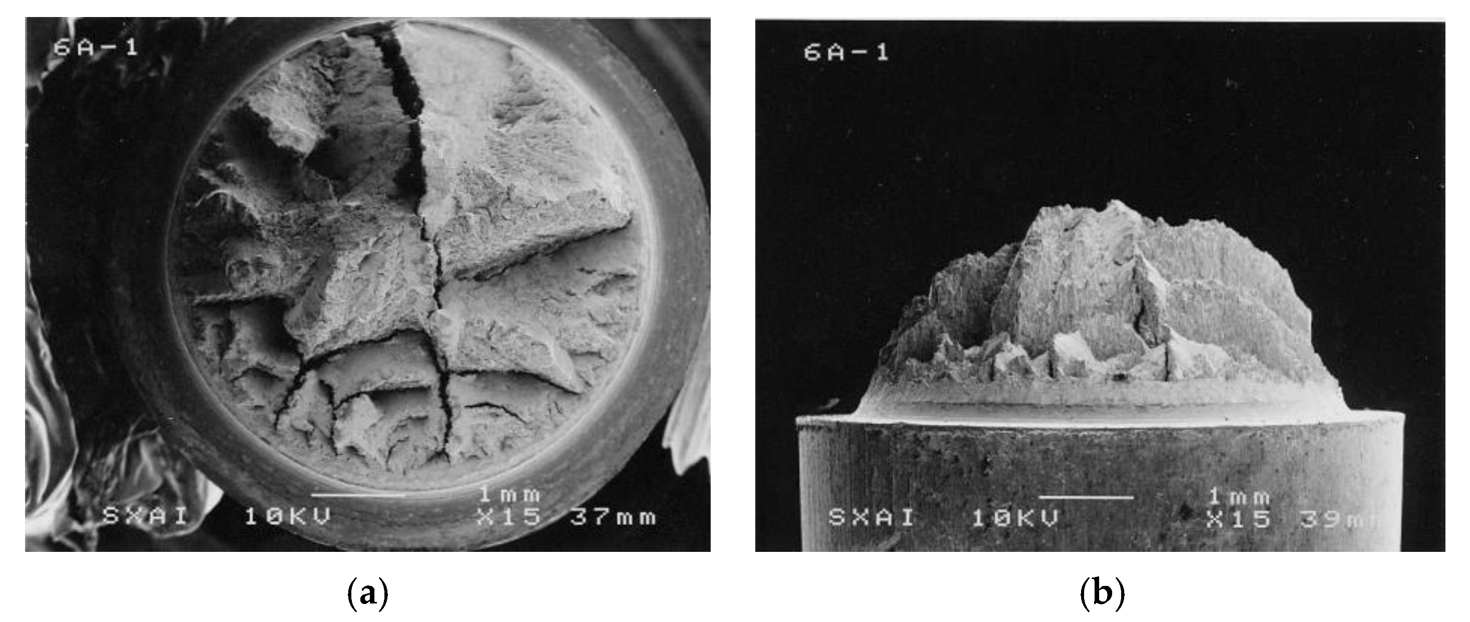 Metals 11 00451 g005