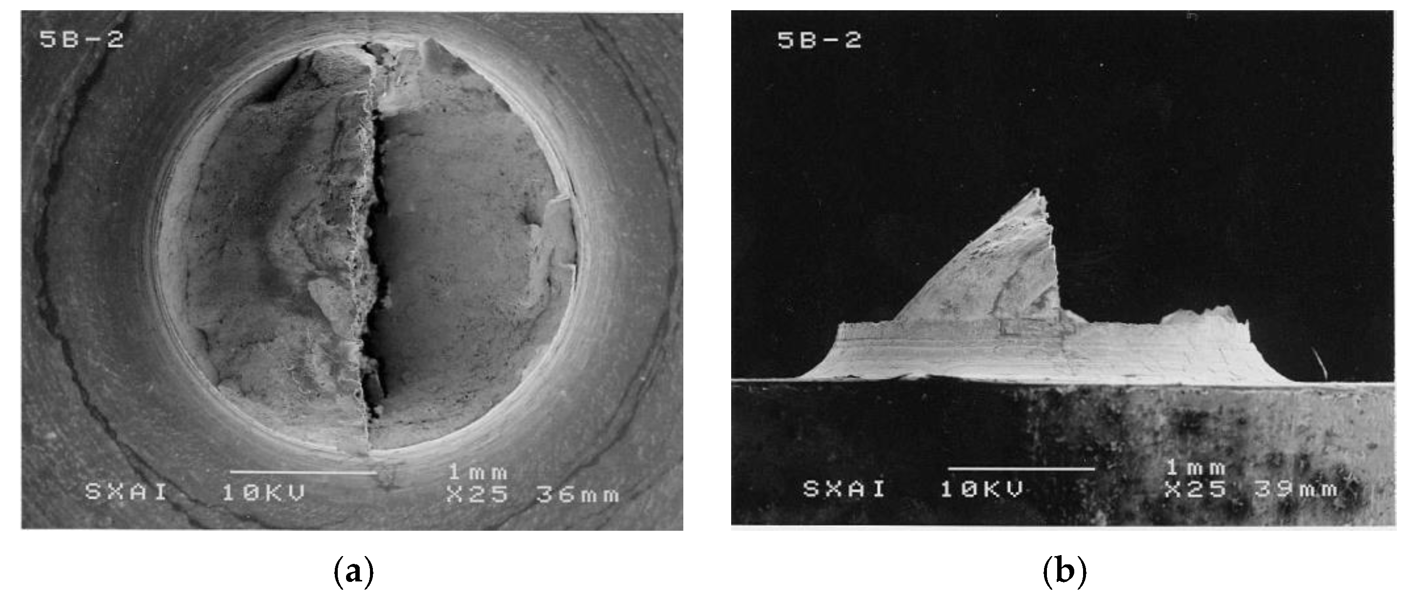 Metals 11 00451 g006