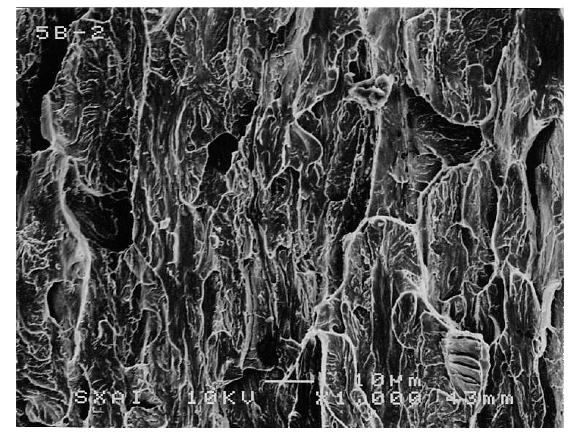 Metals 11 00451 g015