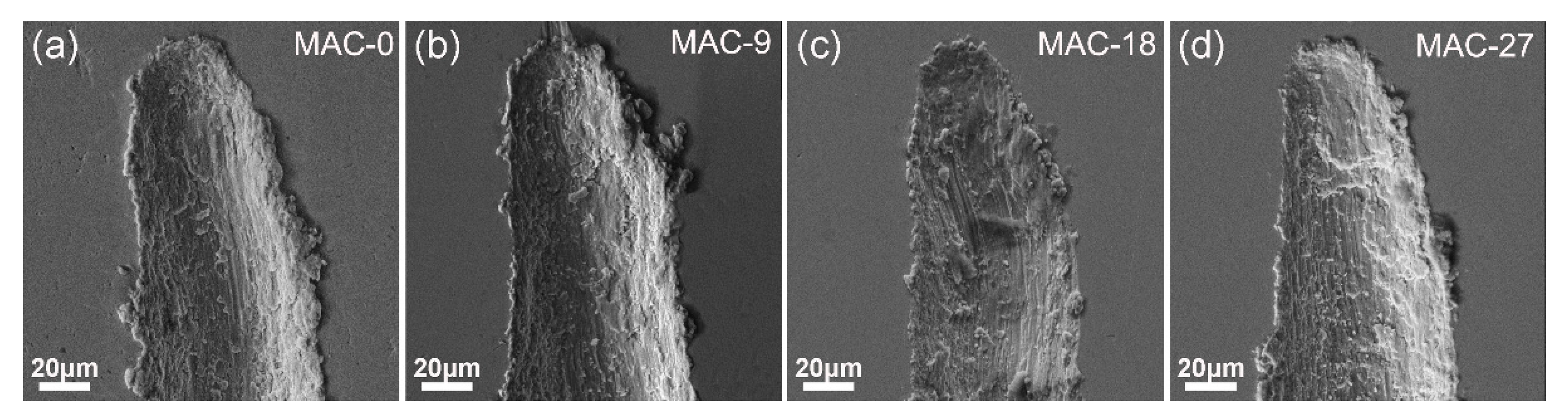 Metals 11 00454 g007