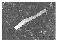 Metals 11 00543 i016