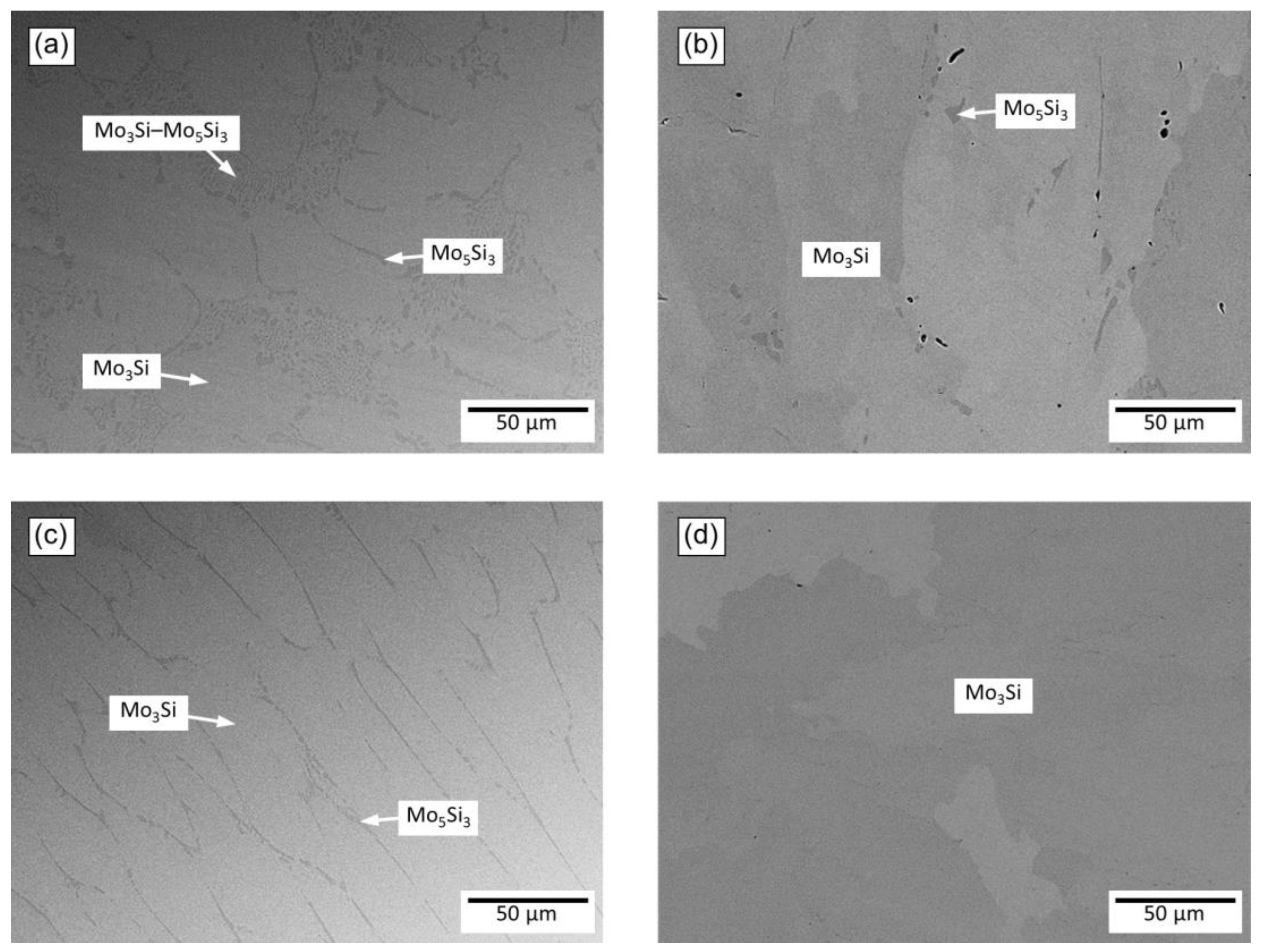 Metals 11 00564 g003