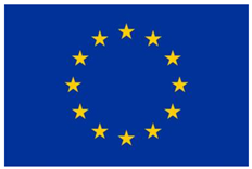 Metals 11 00572 i001