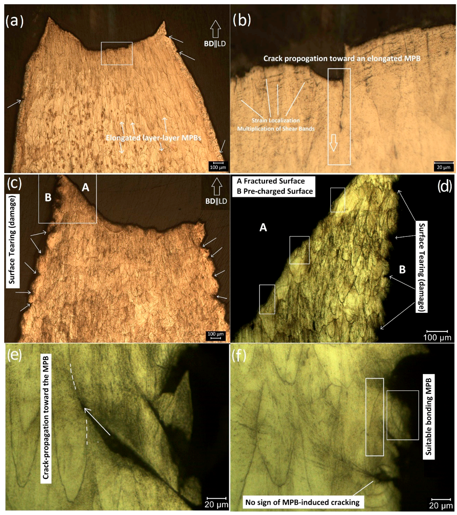 Metals 11 00586 g004 Metals 11 00586 g004