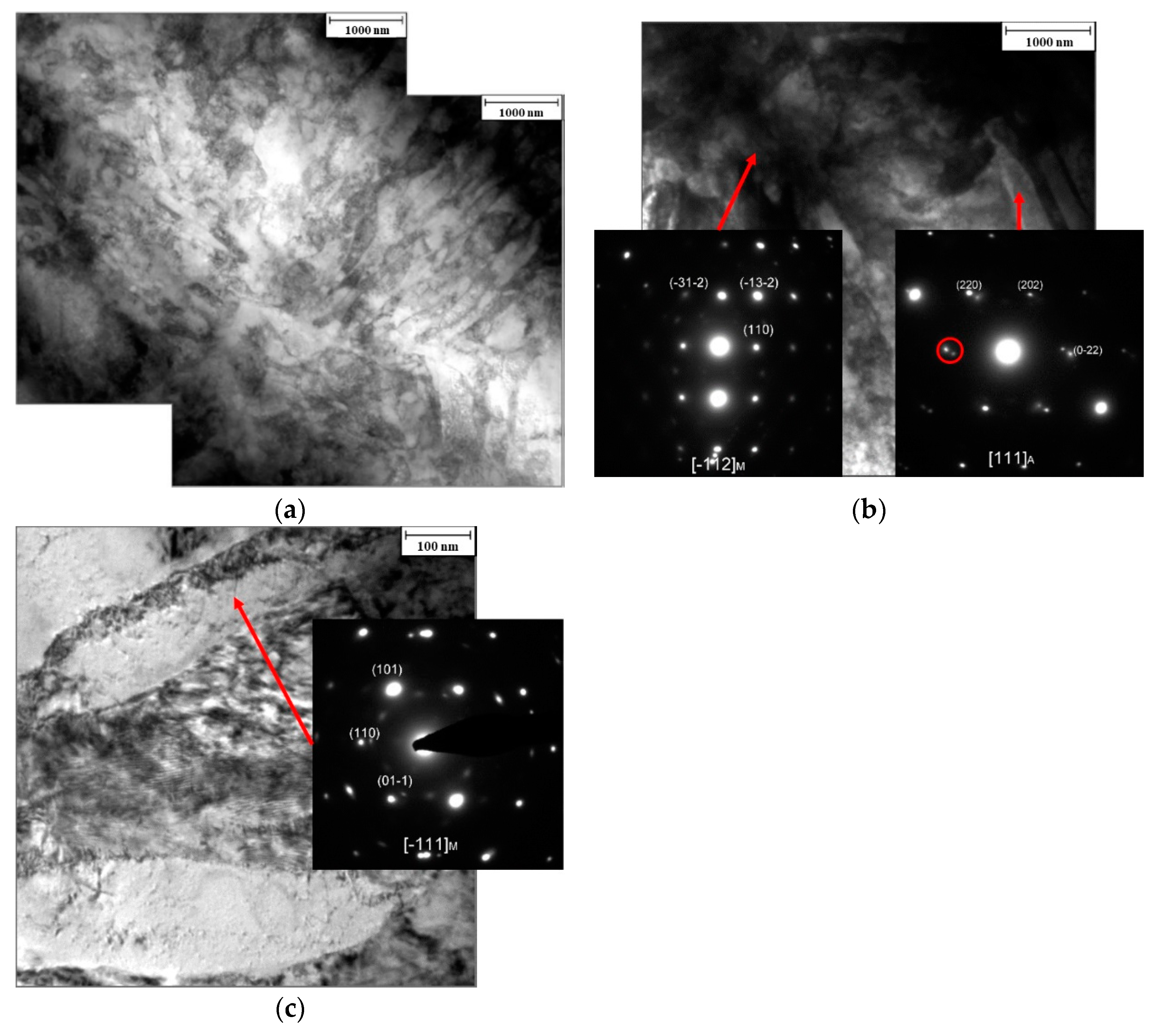 Metals 11 00588 g005 Metals 11 00588 g005