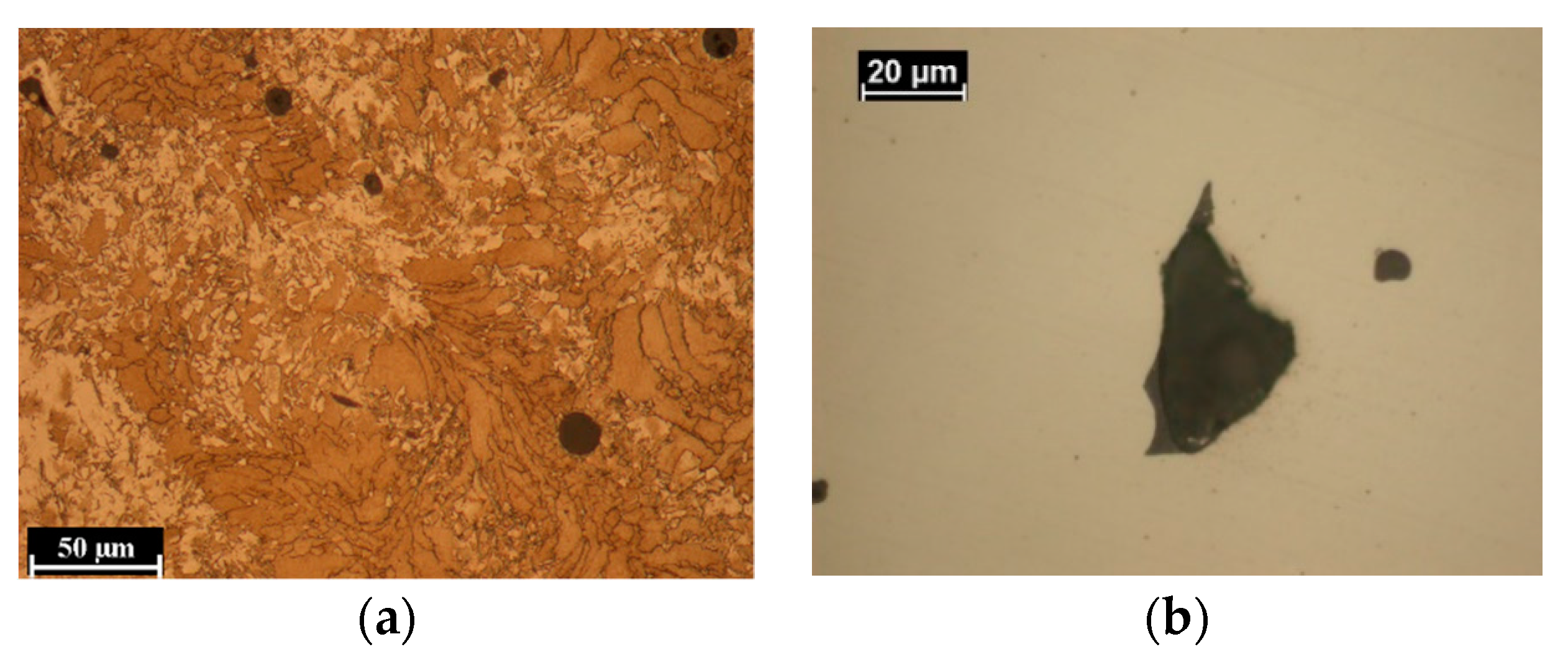 Metals 11 00588 g007 Metals 11 00588 g007