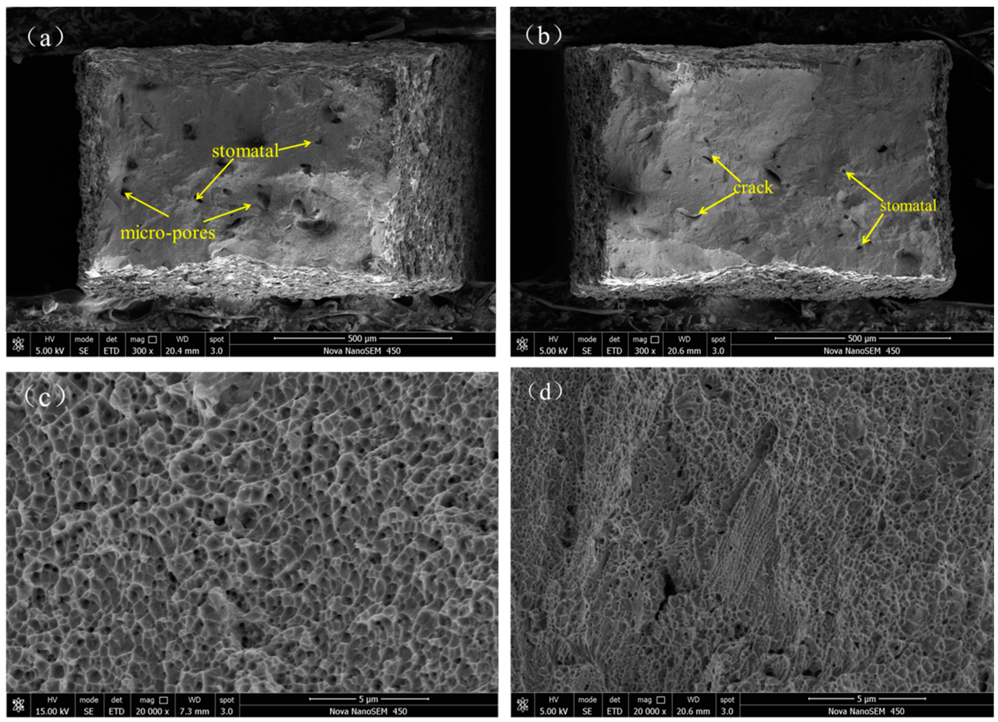 Metals 11 00597 g005