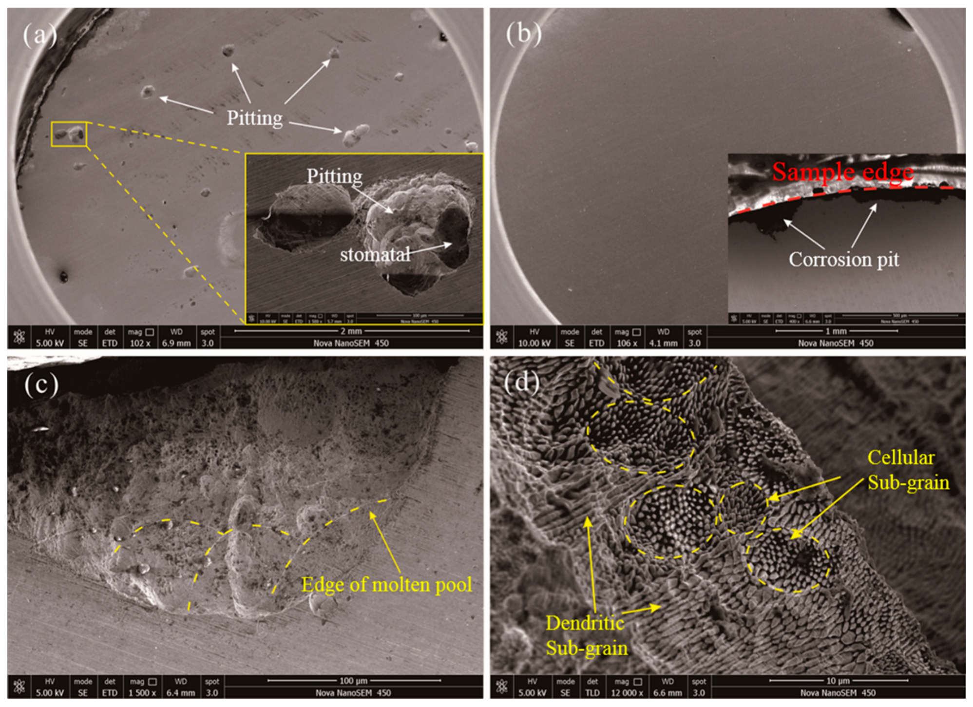 Metals 11 00597 g007