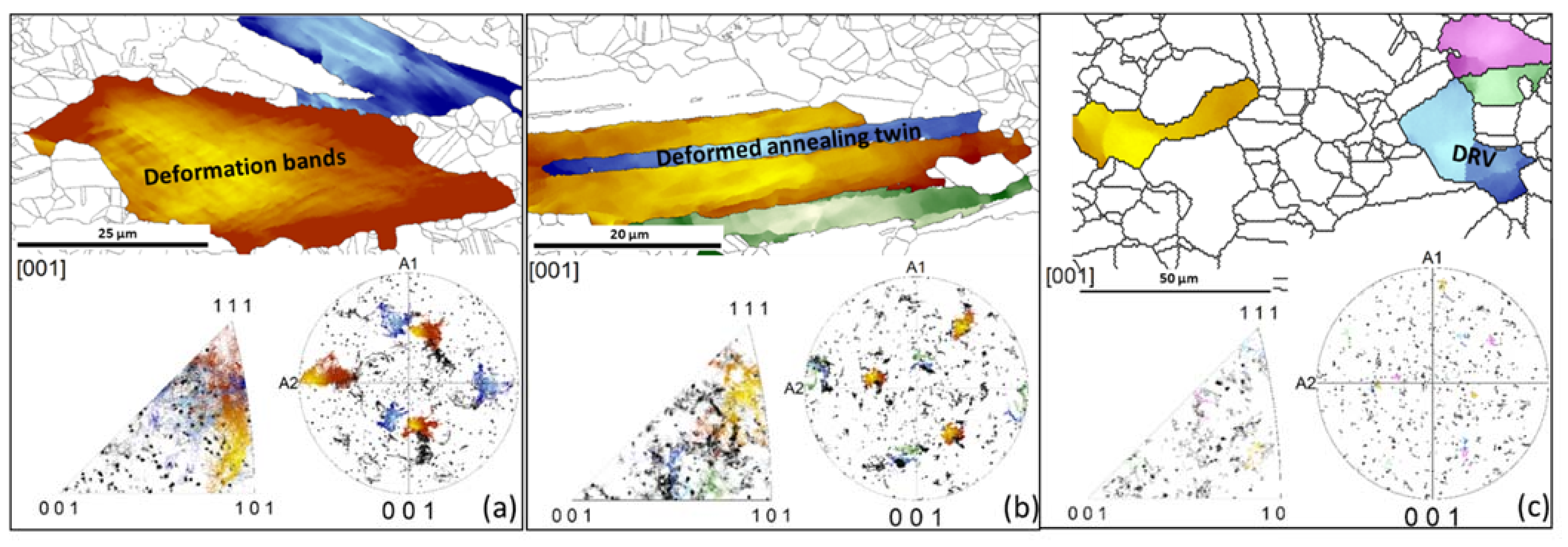 Metals 11 00605 g011