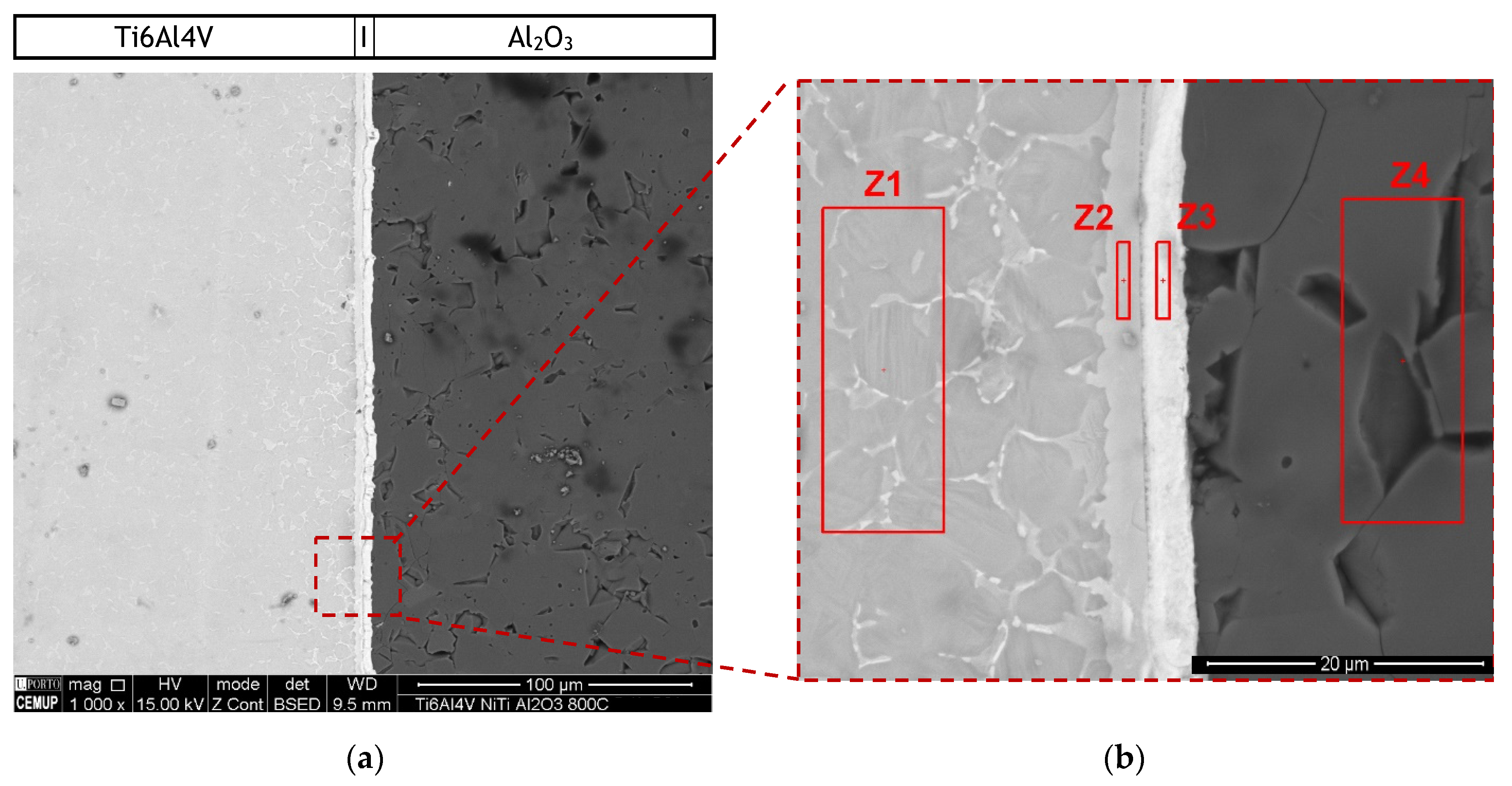 Metals 11 00655 g004 Metals 11 00655 g004