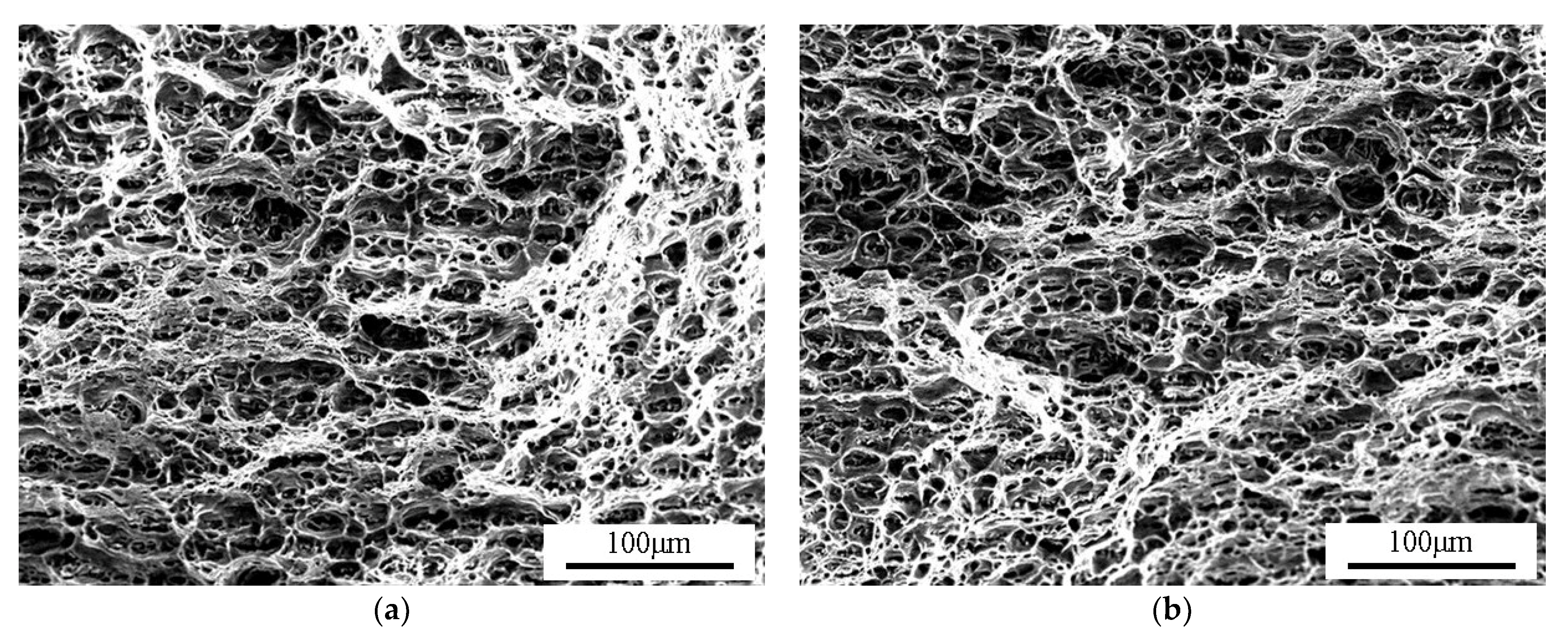 Metals 11 00671 g009 Metals 11 00671 g009