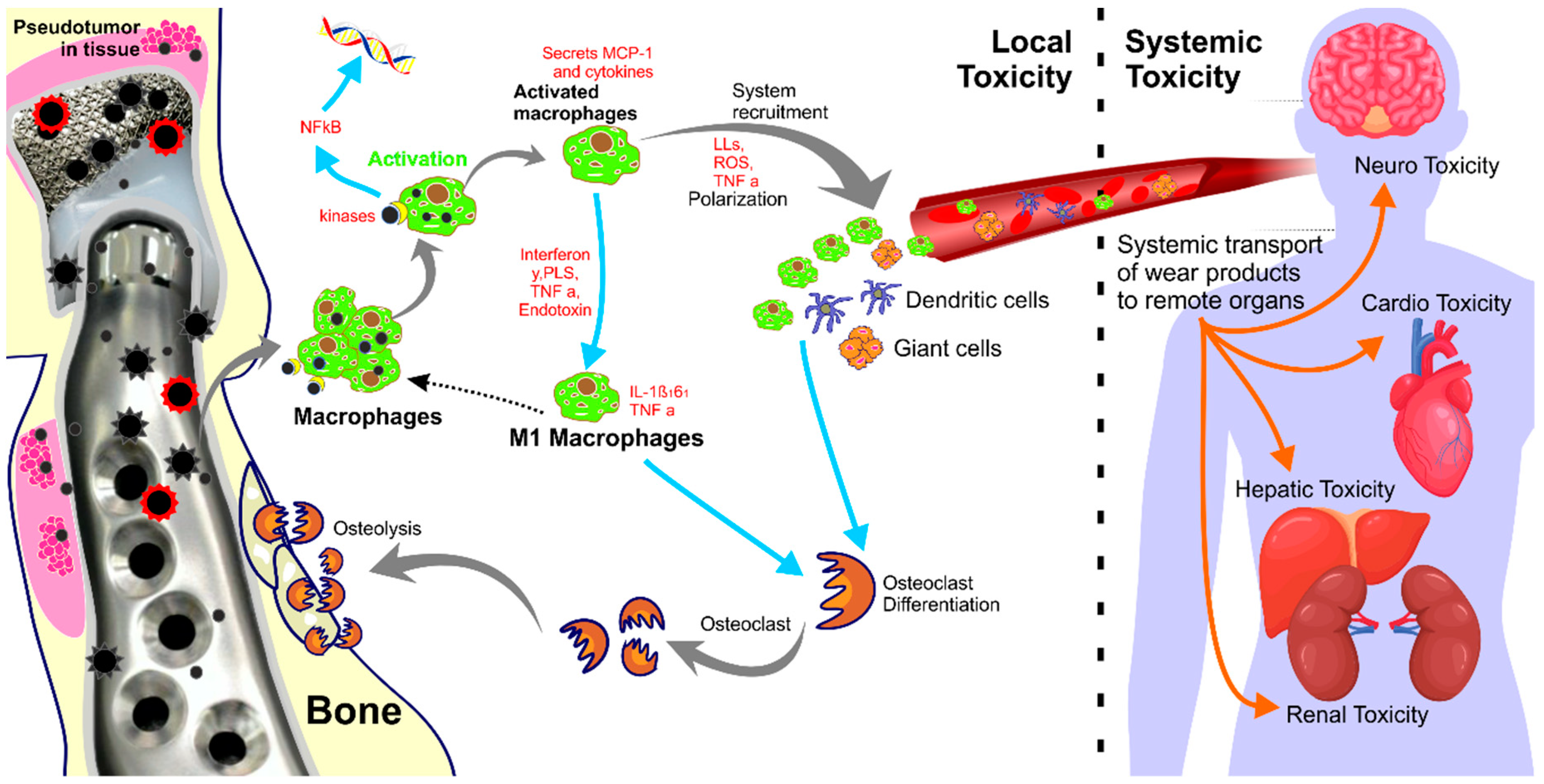 Metals 11 00685 g003 Metals 11 00685 g003