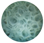 Metals 11 00725 i001