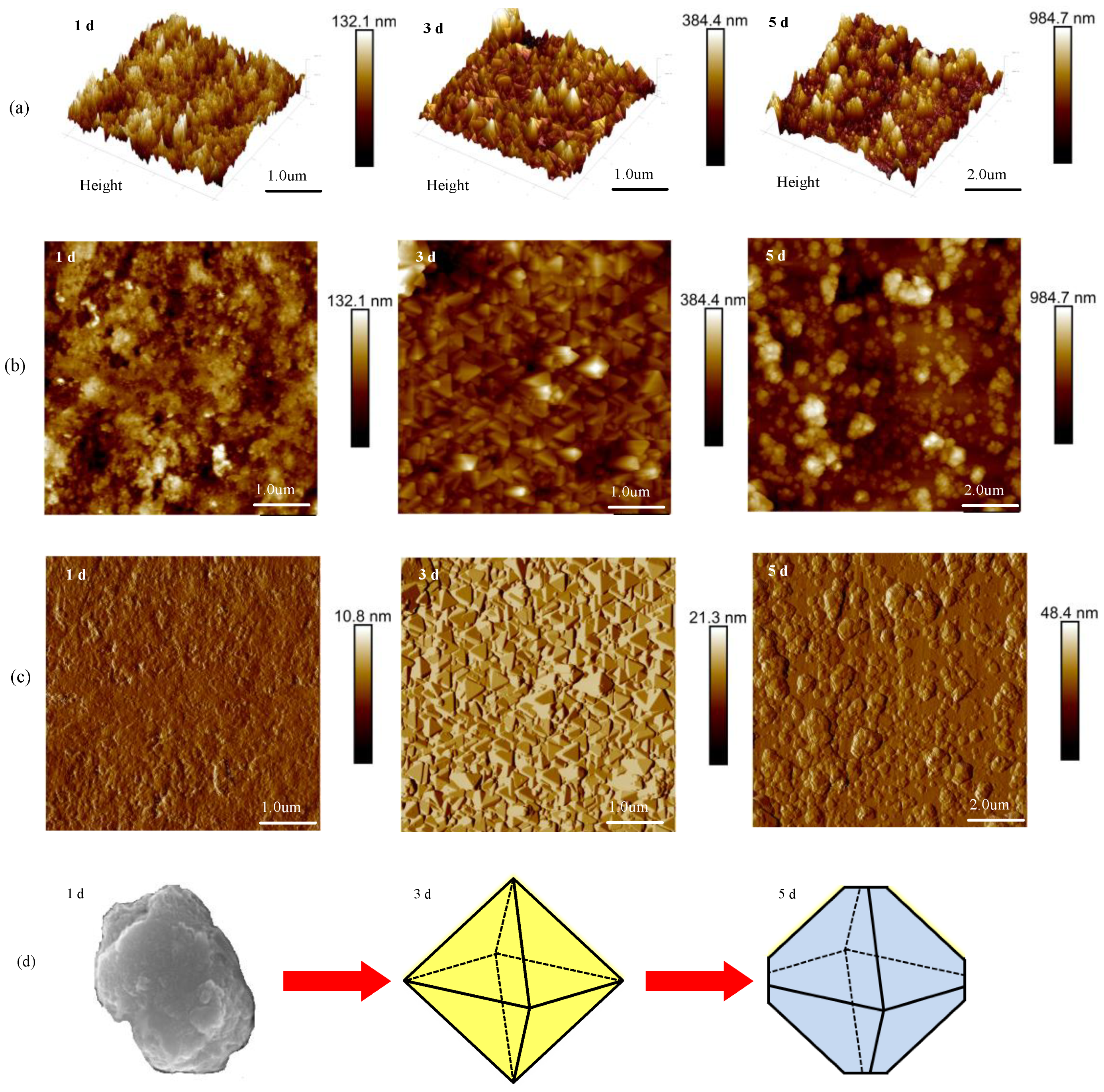 Metals 11 00753 g005