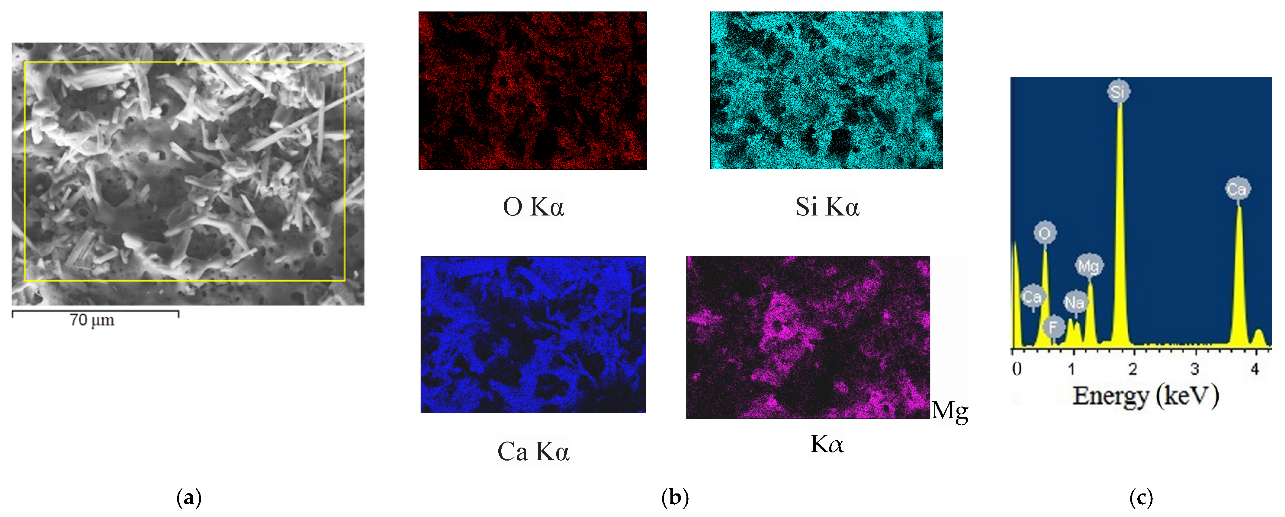 Metals | Free Full-Text | Surface Modification of Mg0.8Ca Alloy via  Wollastonite Micro-Arc Coatings: Significant Improvement in Corrosion  Resistance