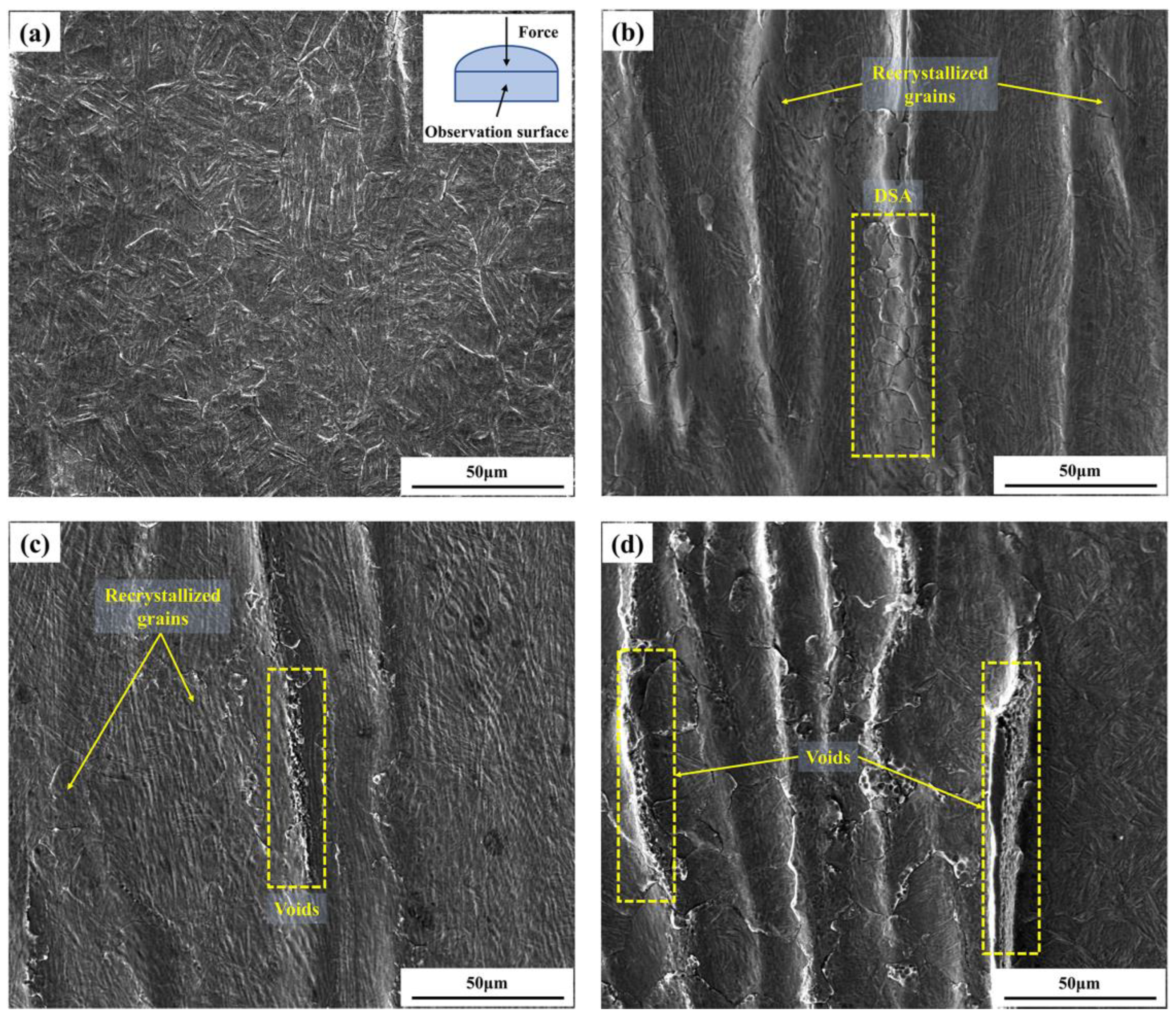 Metals 11 00769 g011