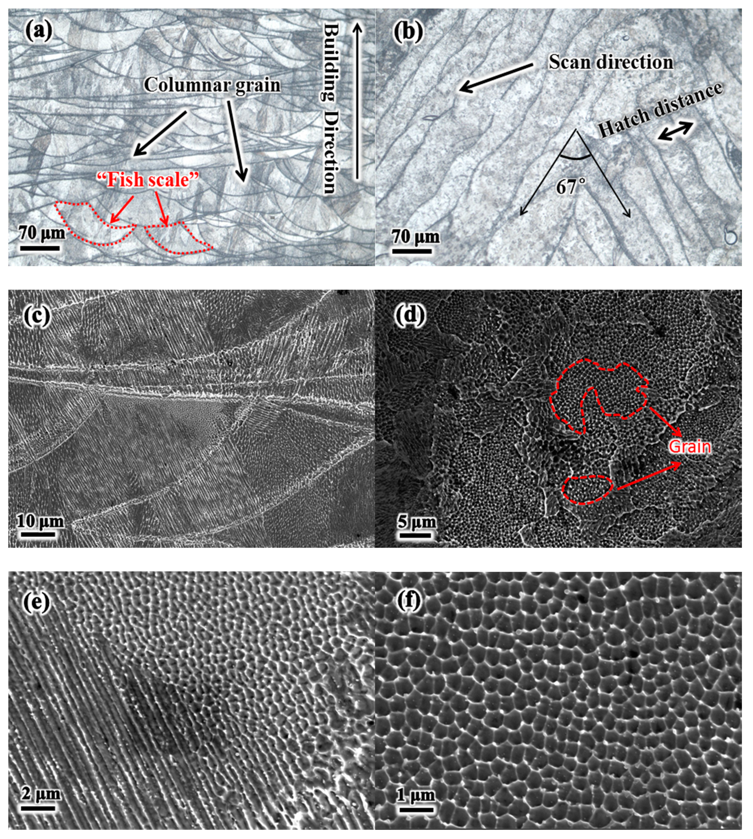 Metals 11 00775 g002