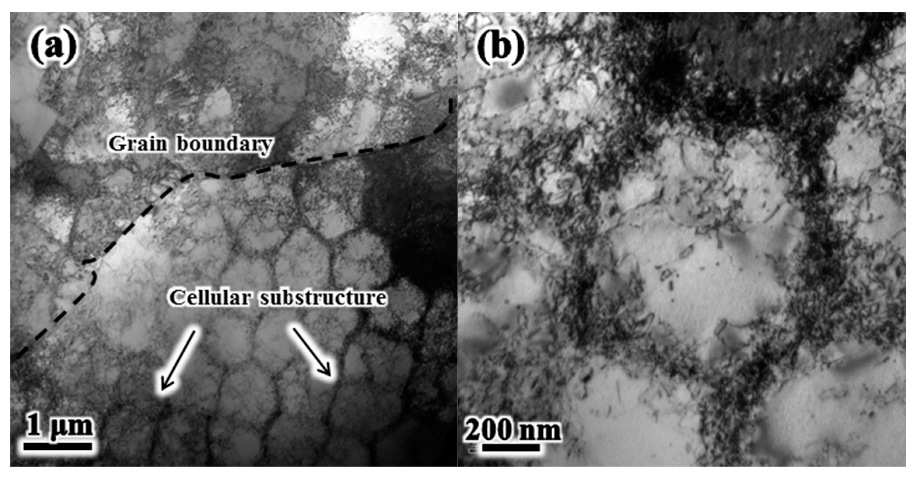 Metals 11 00775 g004a