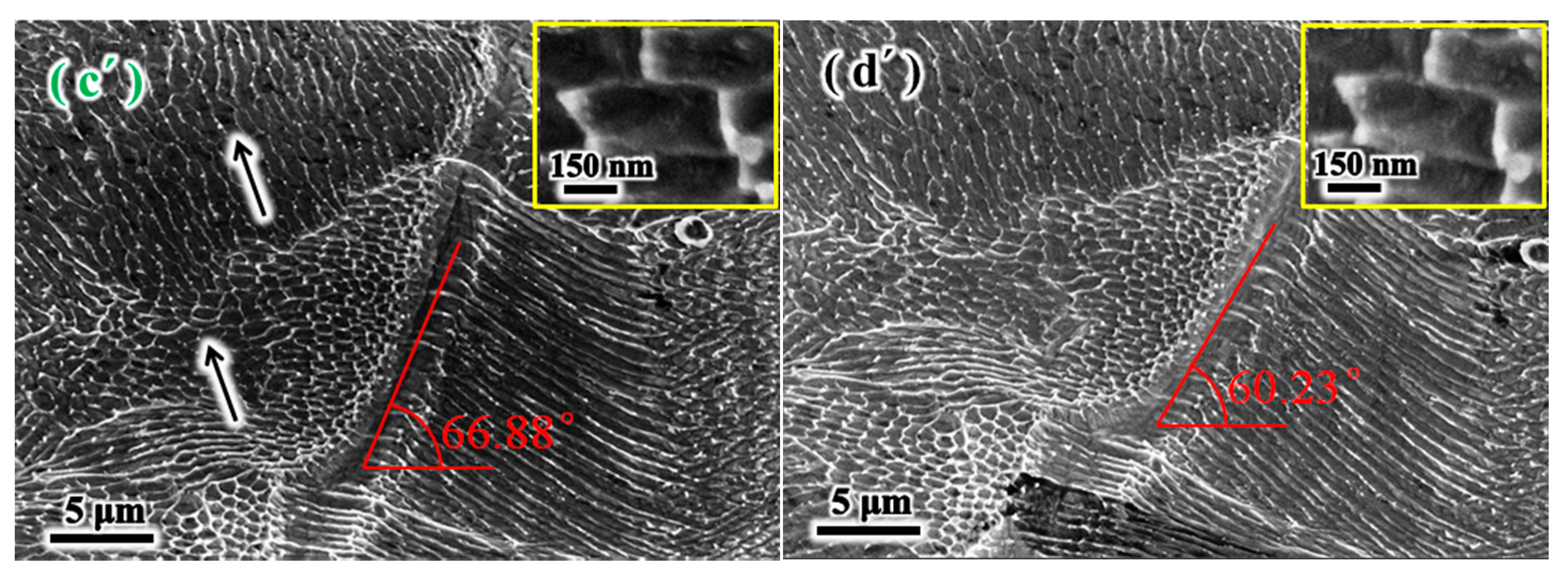 Metals 11 00775 g011b