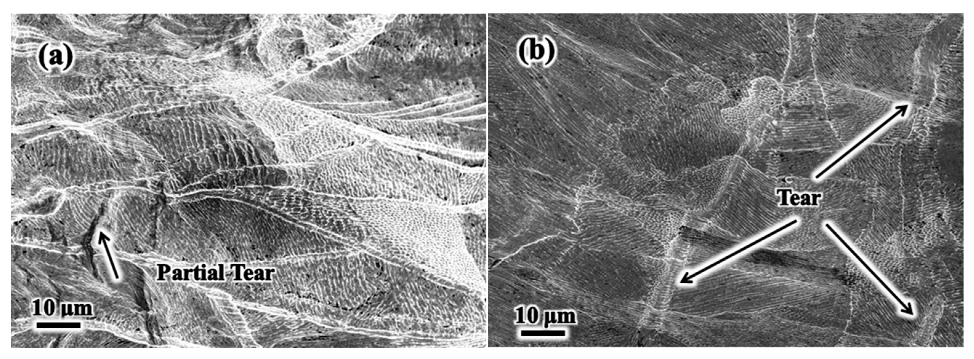 Metals 11 00775 g012