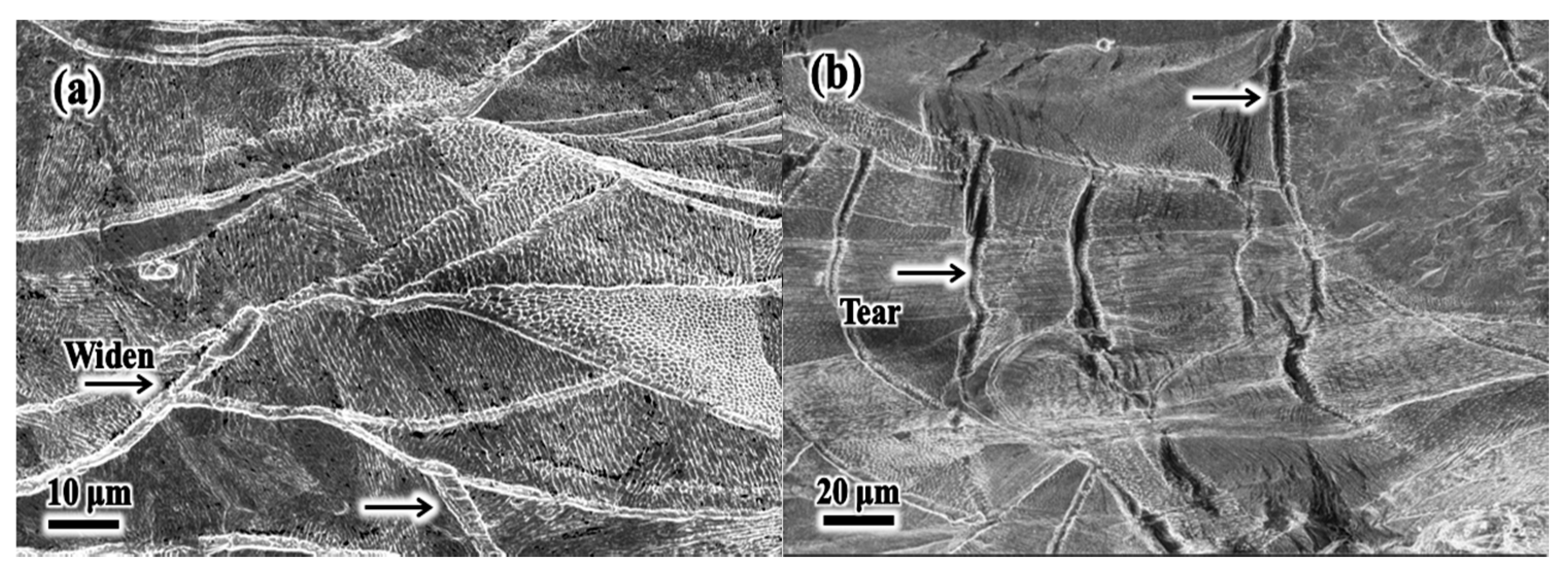Metals 11 00775 g017