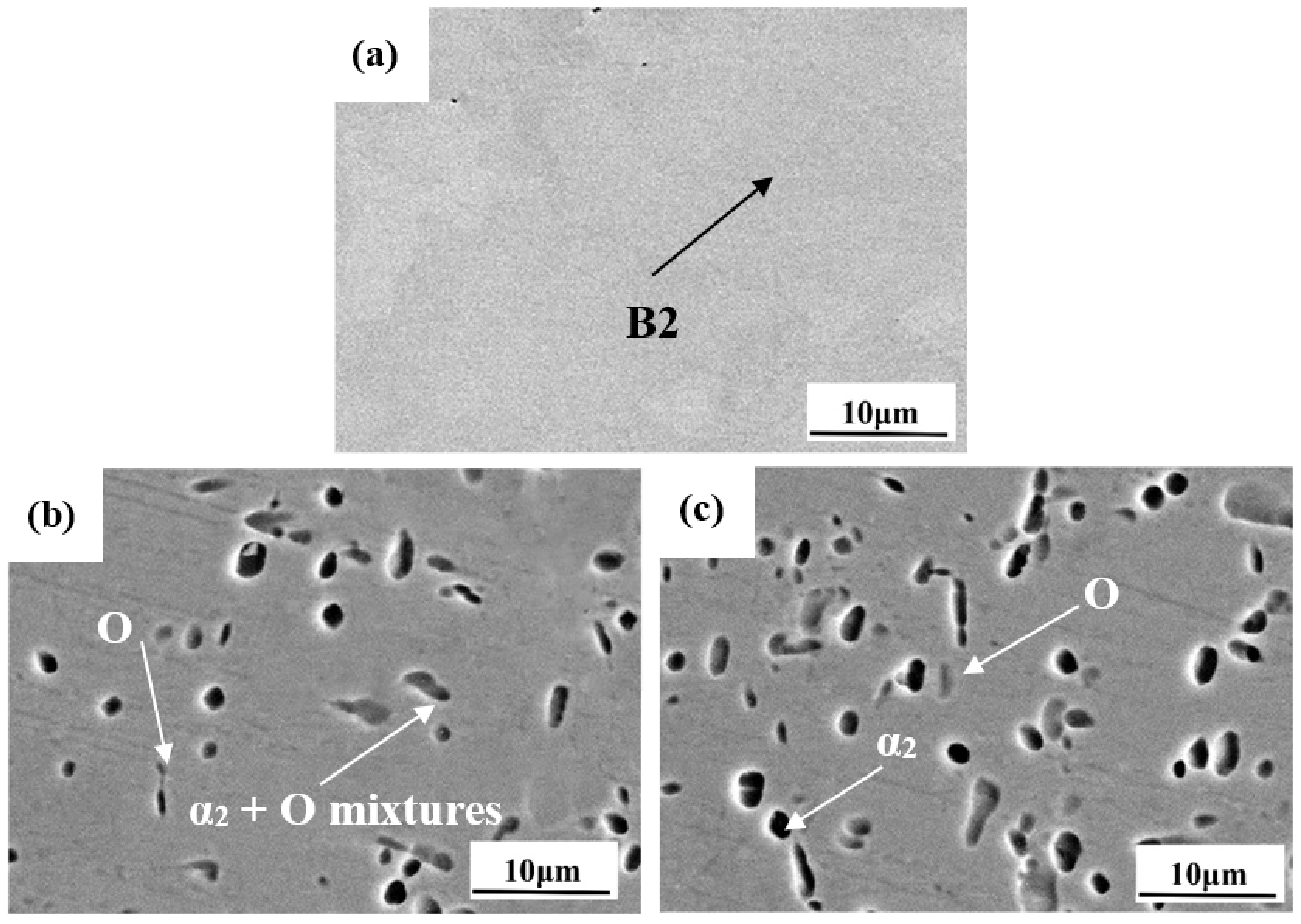 Metals 11 00802 g008