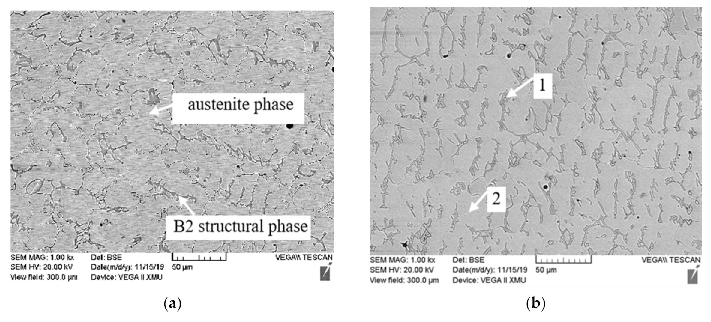 Metals 11 00814 g003a Metals 11 00814 g003a