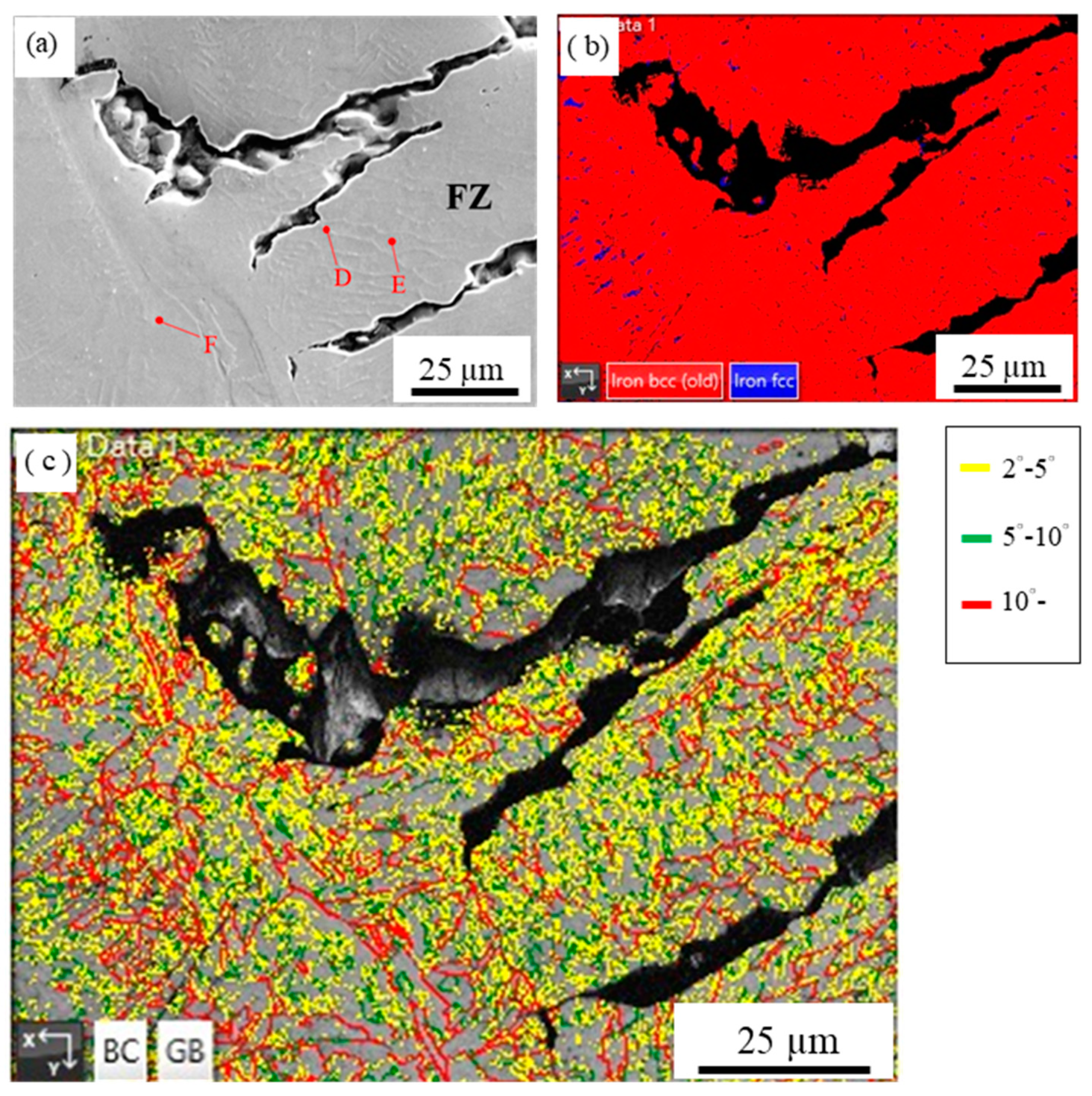 Metals 11 00874 g007