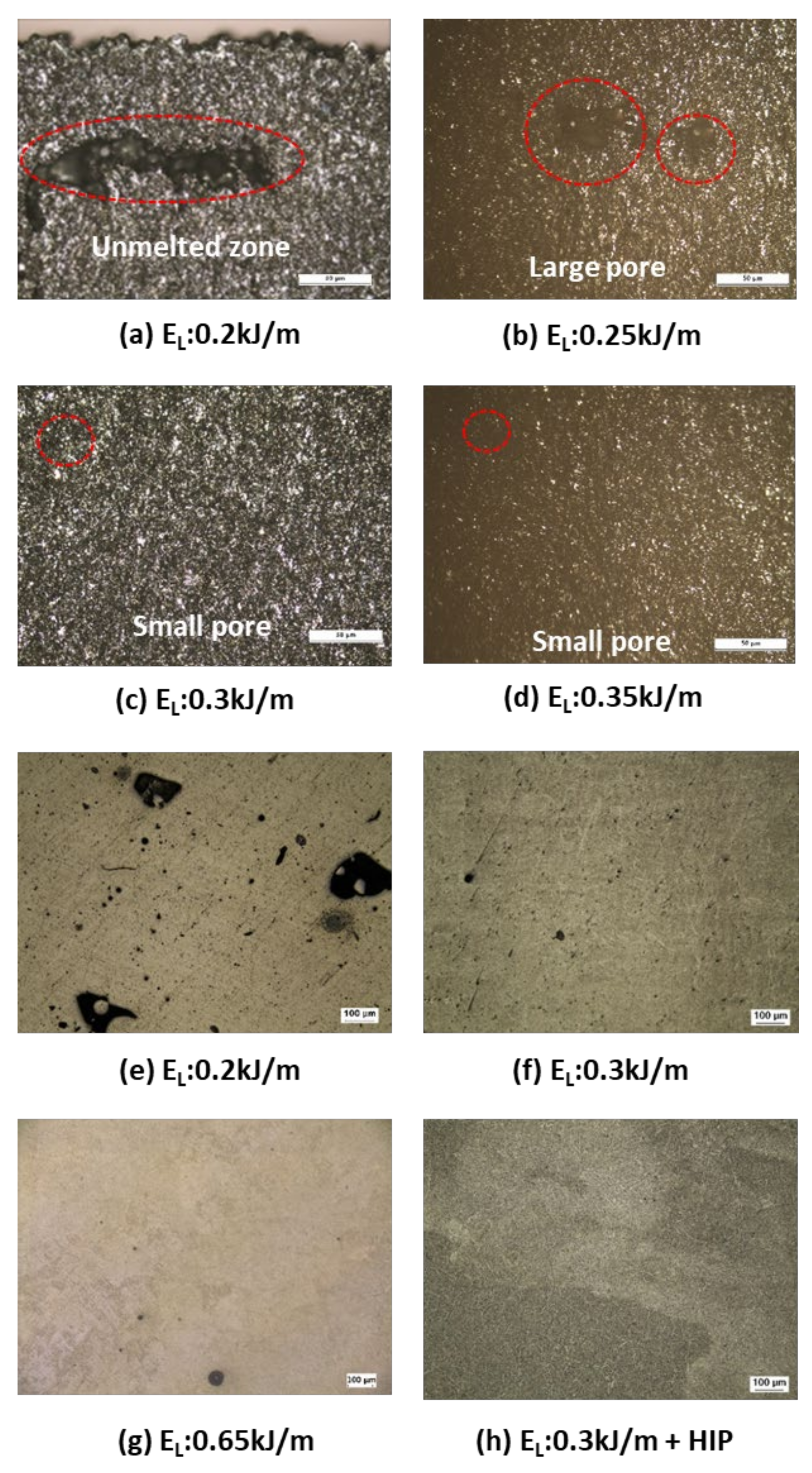 Metals 11 00878 g002