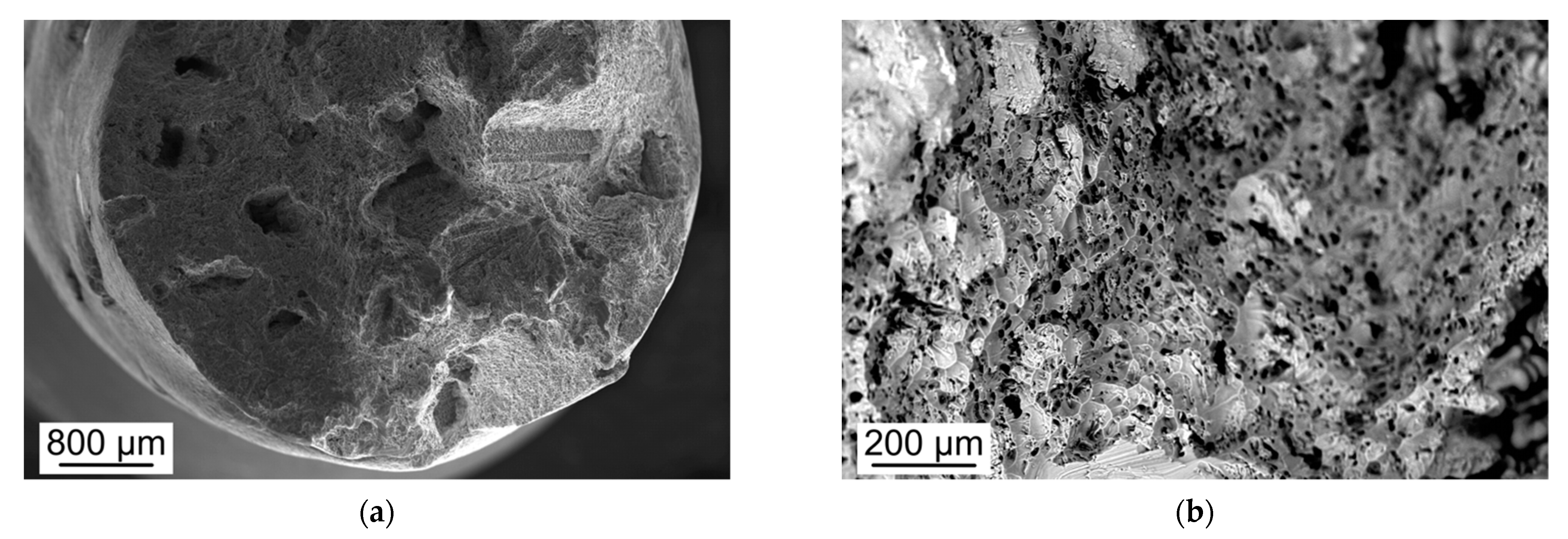 Metals 11 00879 g002