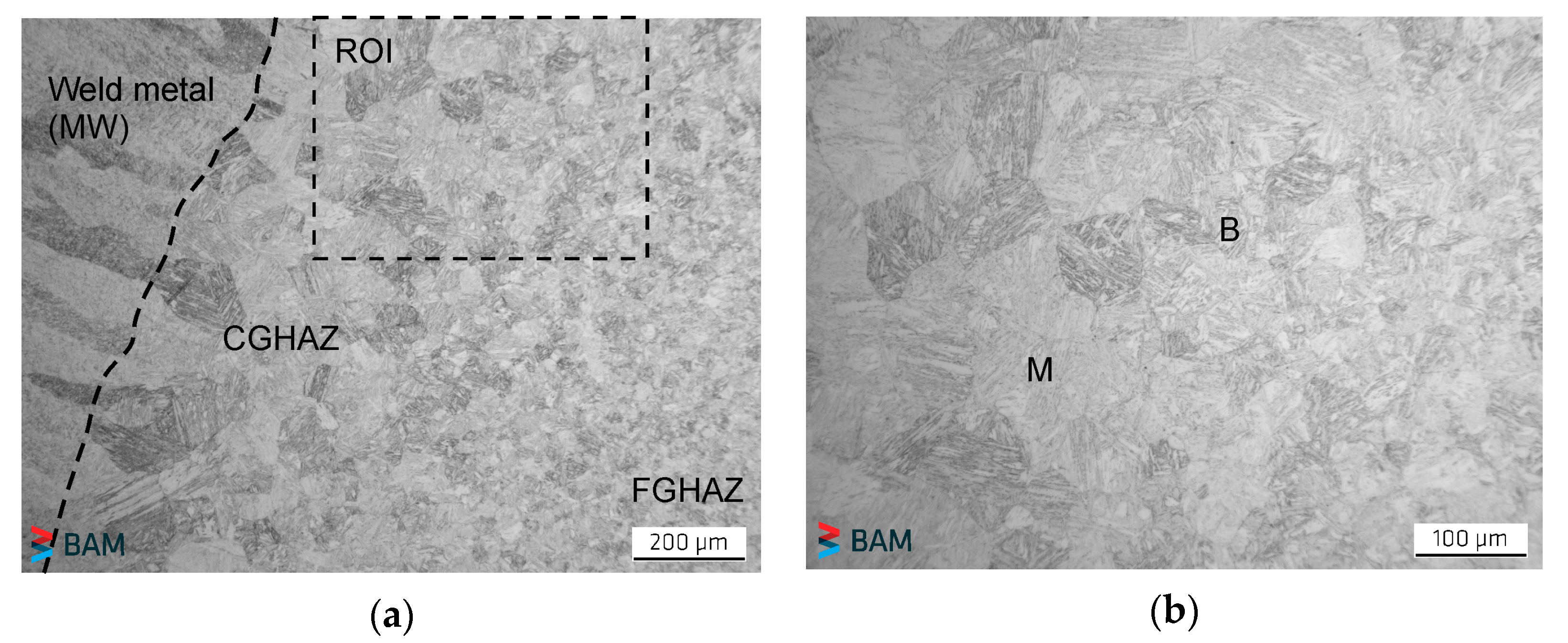 Metals 11 00904 g006