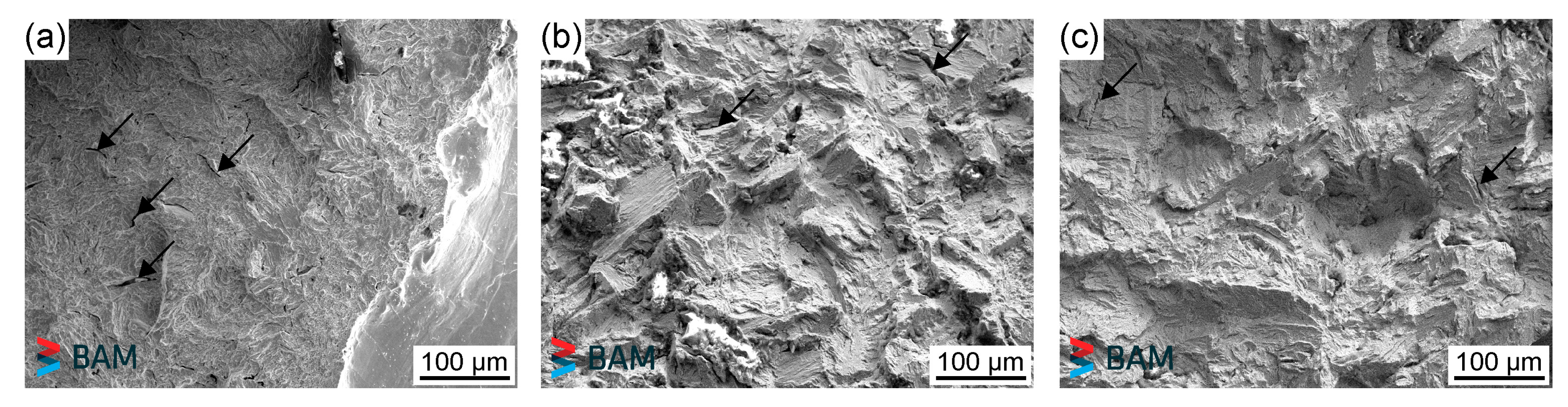 Metals 11 00904 g011