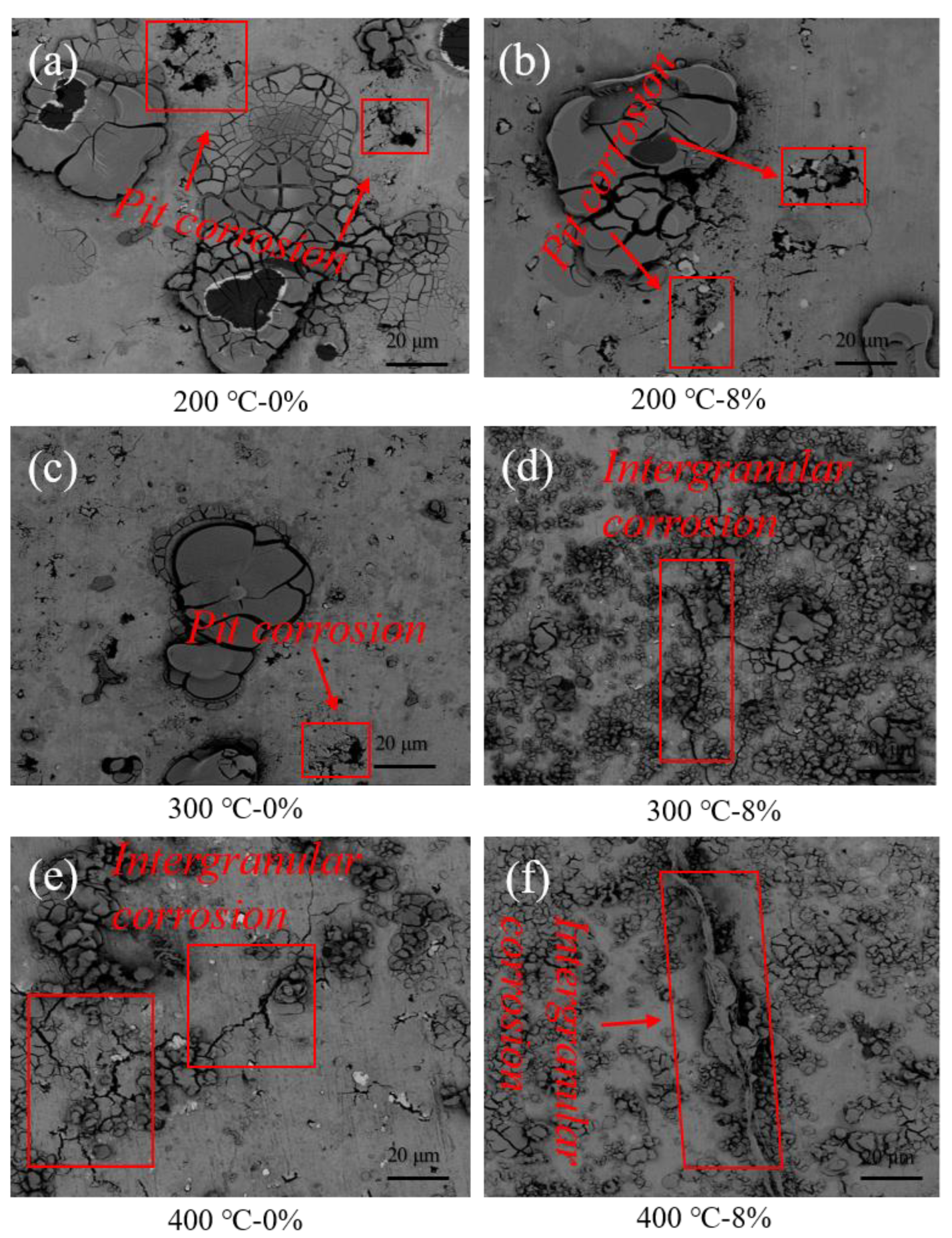 Metals 11 00924 g008