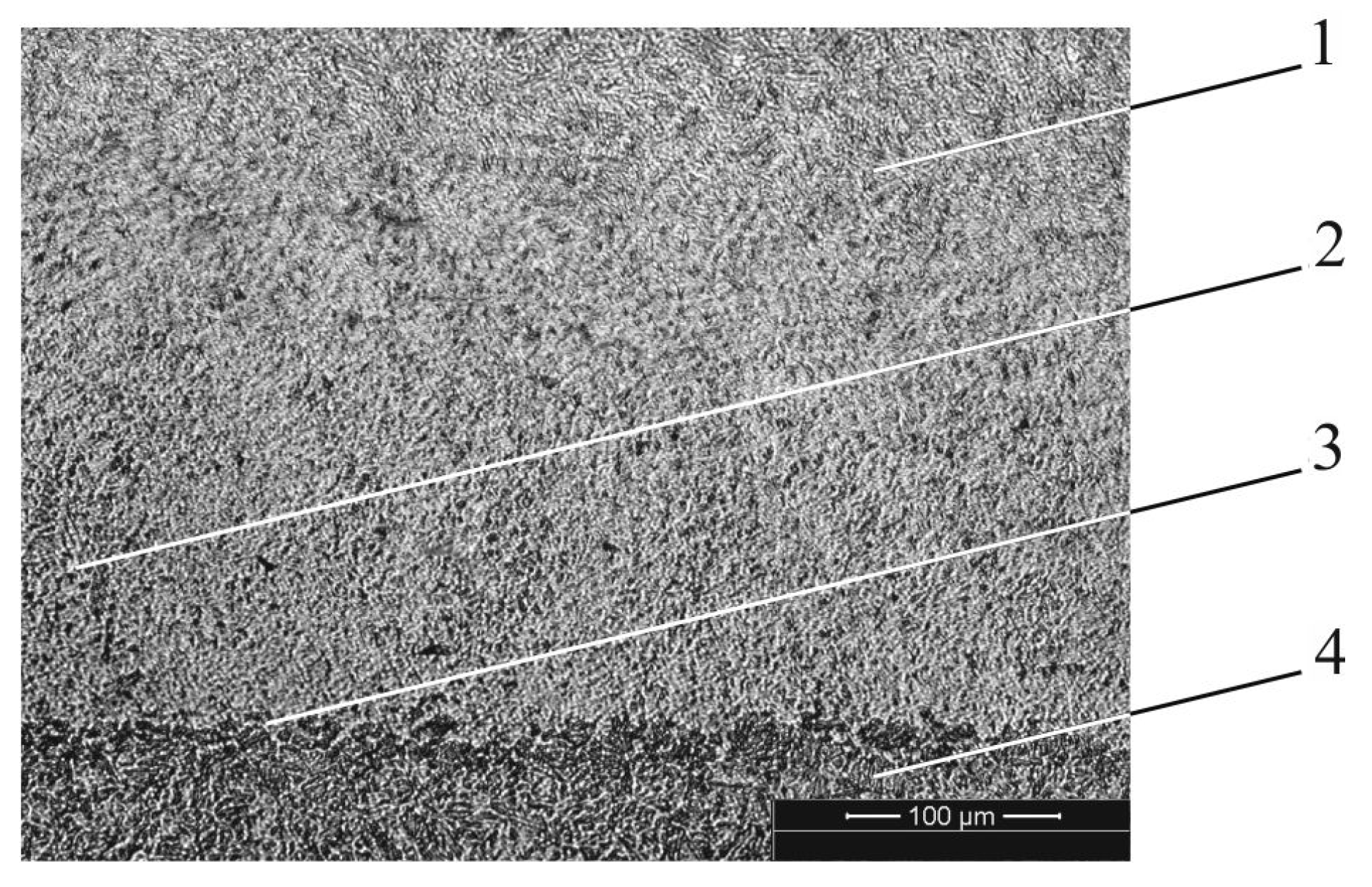 Metals 11 00963 g004