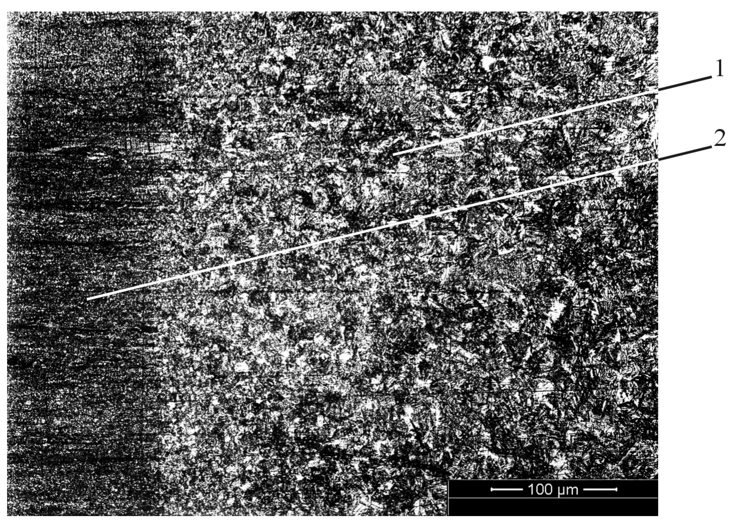 Metals 11 00963 g006