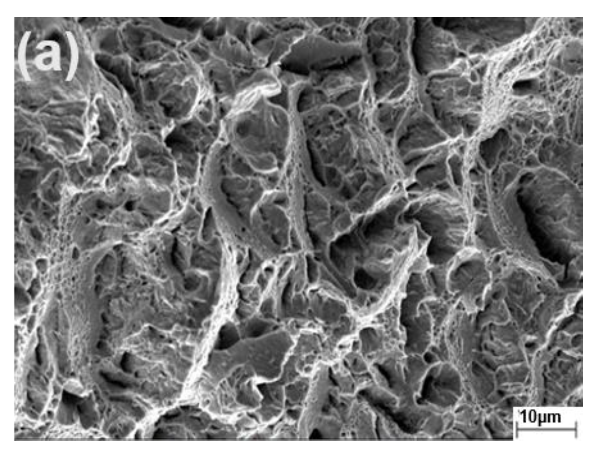 Metals 11 00984 g009a Metals 11 00984 g009a