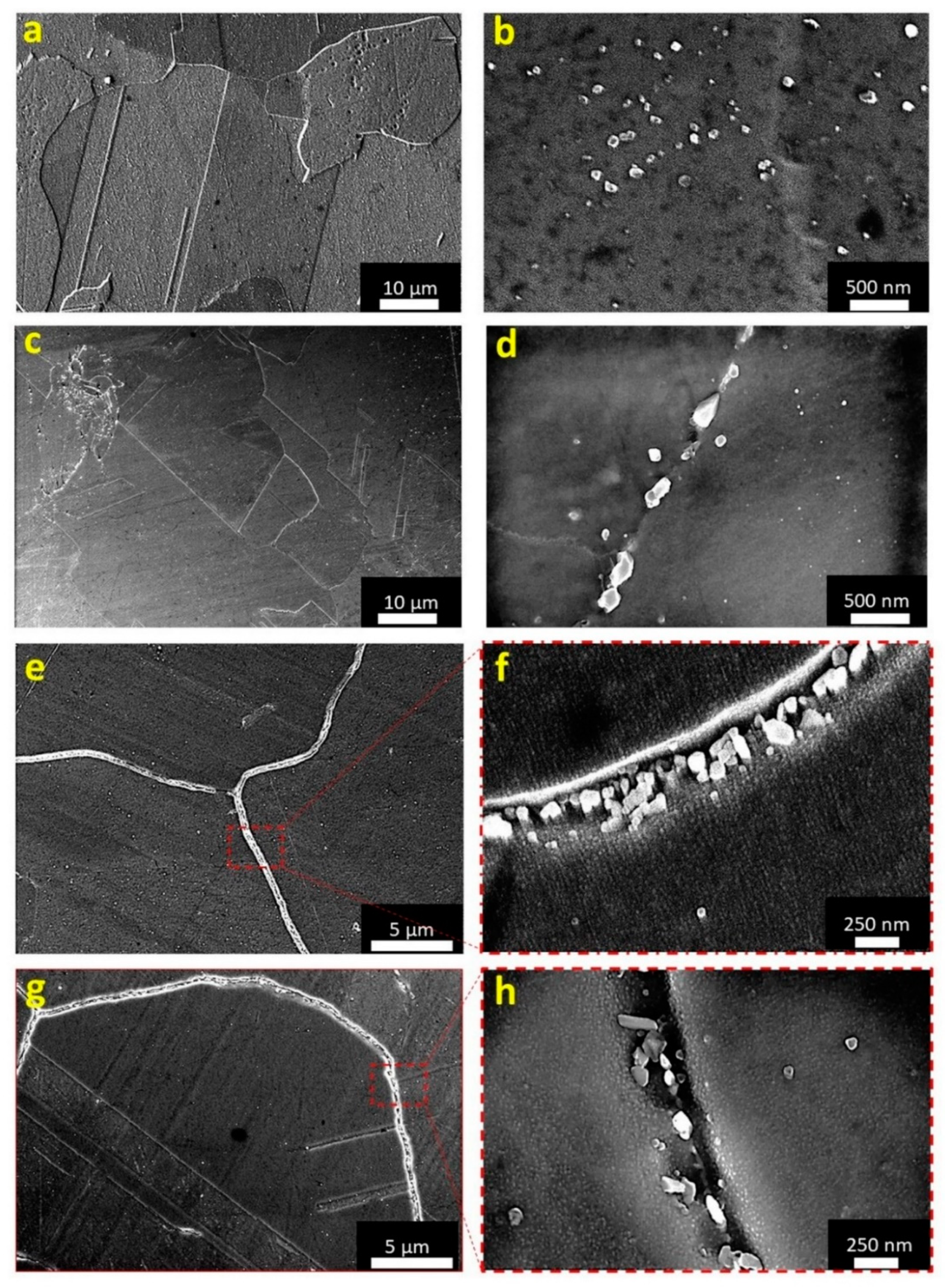 Metals 11 00988 g006