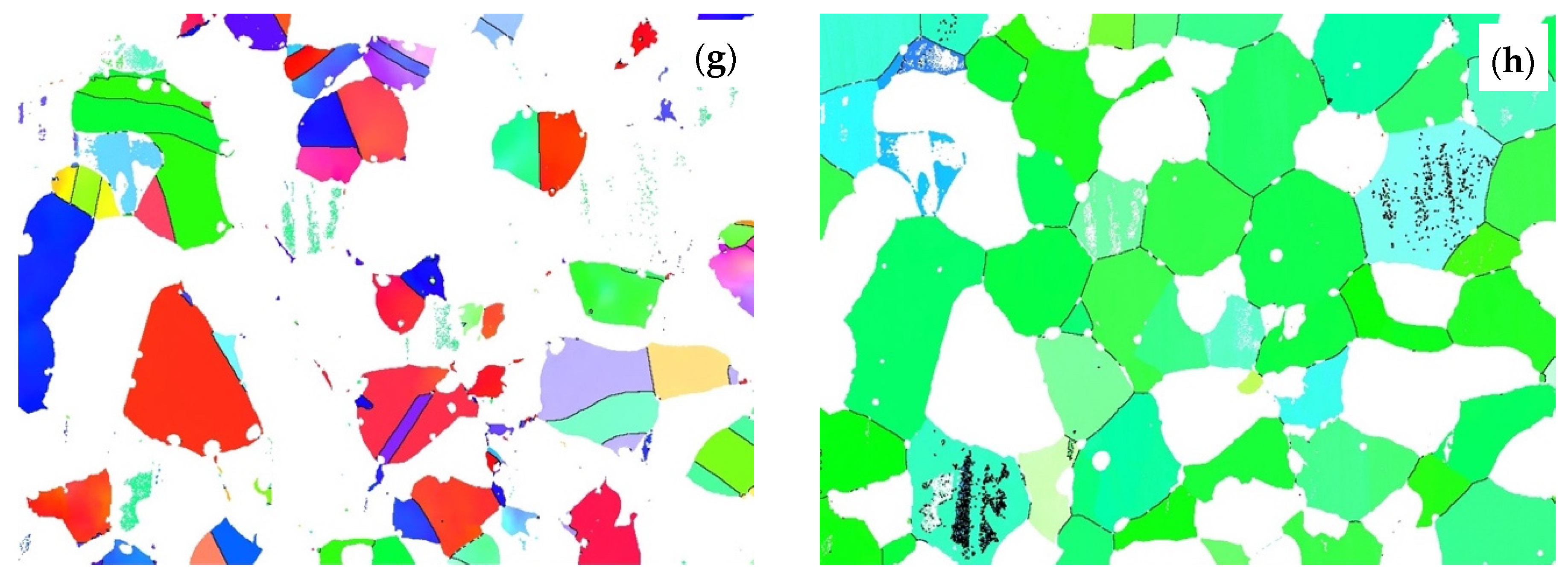 Metals 11 00998 g009b