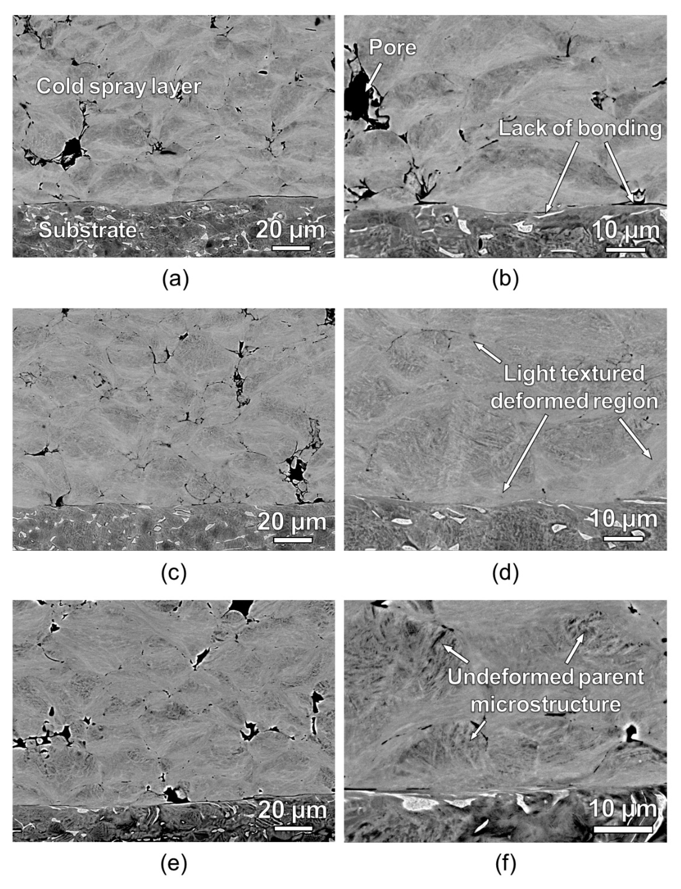 Metals 11 01038 g011